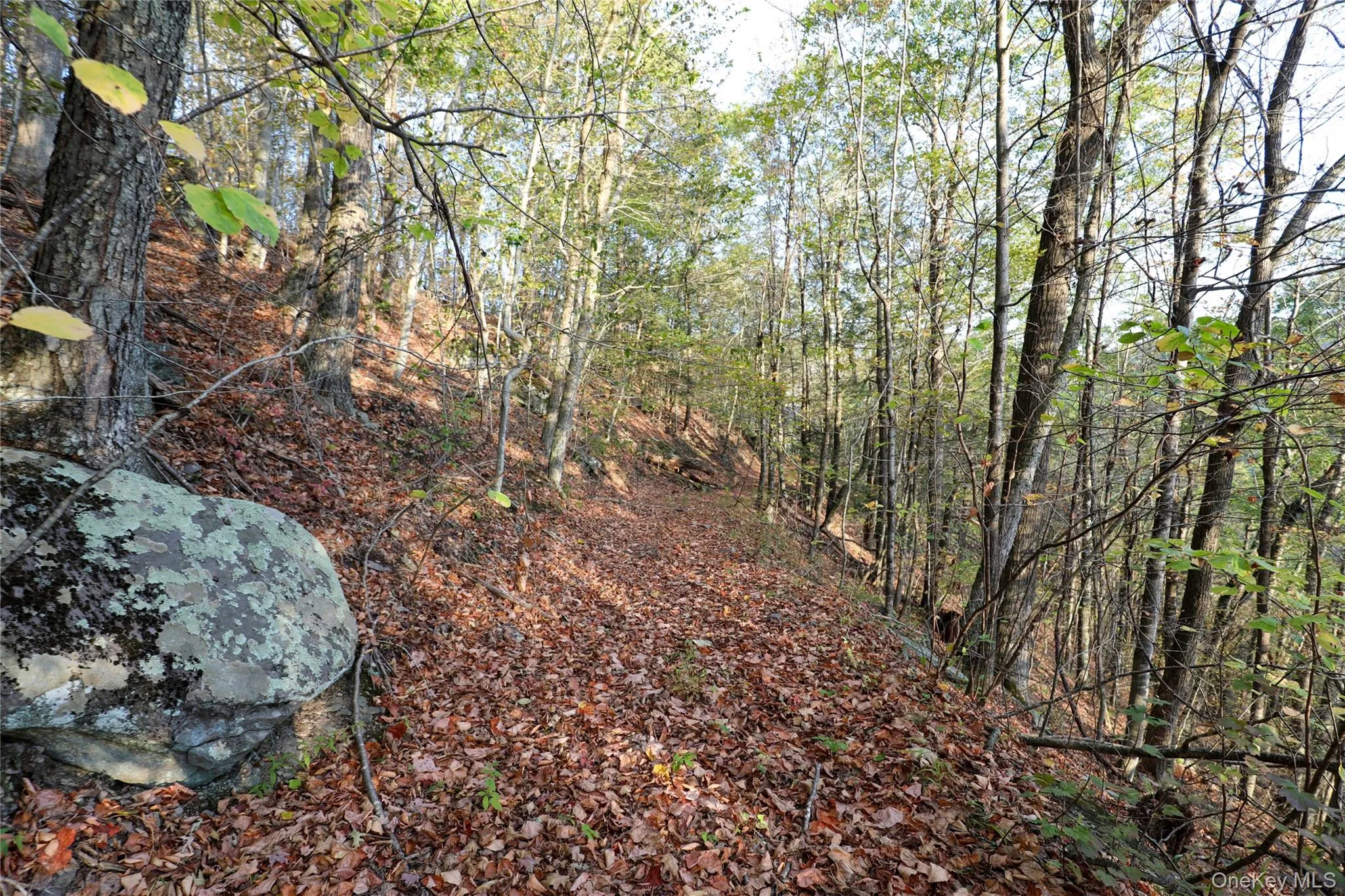 TBD NY-28 Route, Shandaken, NY, ,Land,For Rent,Route,0,1002913 TBD NY-28 Route, Shandaken, NY, ,Land,For Rent,Route,0,1002913