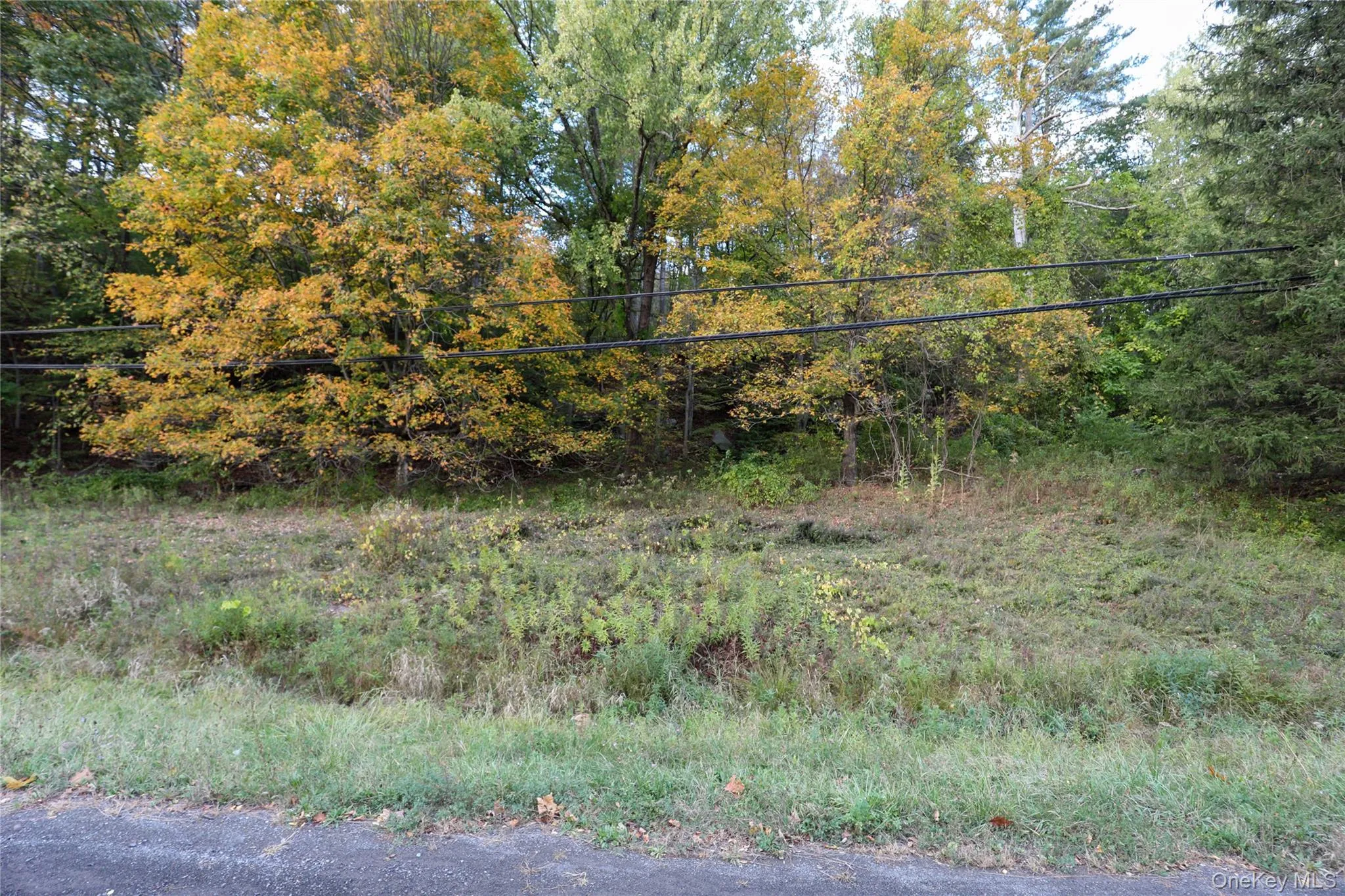 TBD NY-28 Route, Shandaken, NY, ,Land,For Rent,Route,0,1002913 TBD NY-28 Route, Shandaken, NY, ,Land,For Rent,Route,0,1002913
