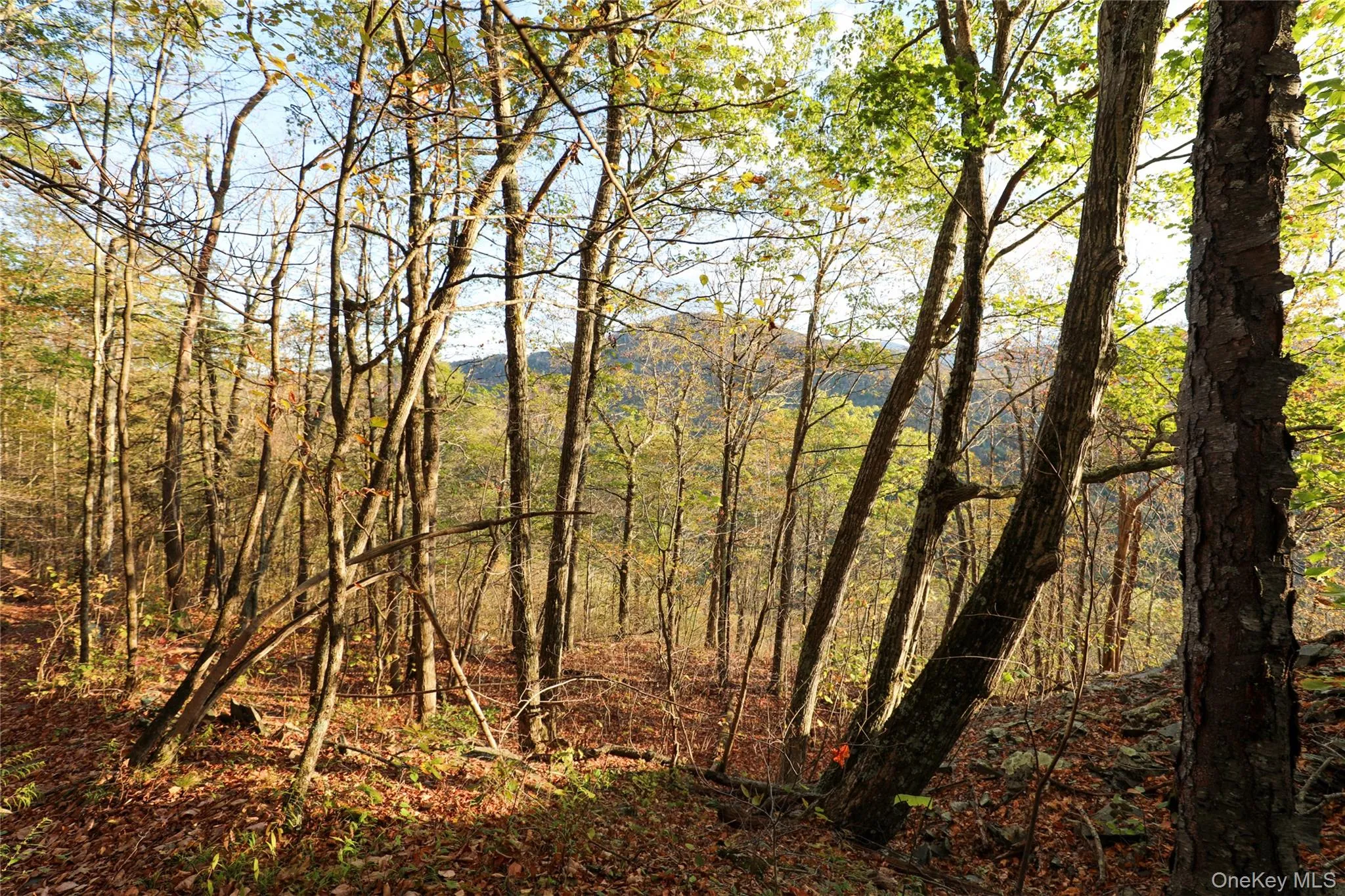 TBD NY-28 Route, Shandaken, NY, ,Land,For Rent,Route,0,1002913 TBD NY-28 Route, Shandaken, NY, ,Land,For Rent,Route,0,1002913