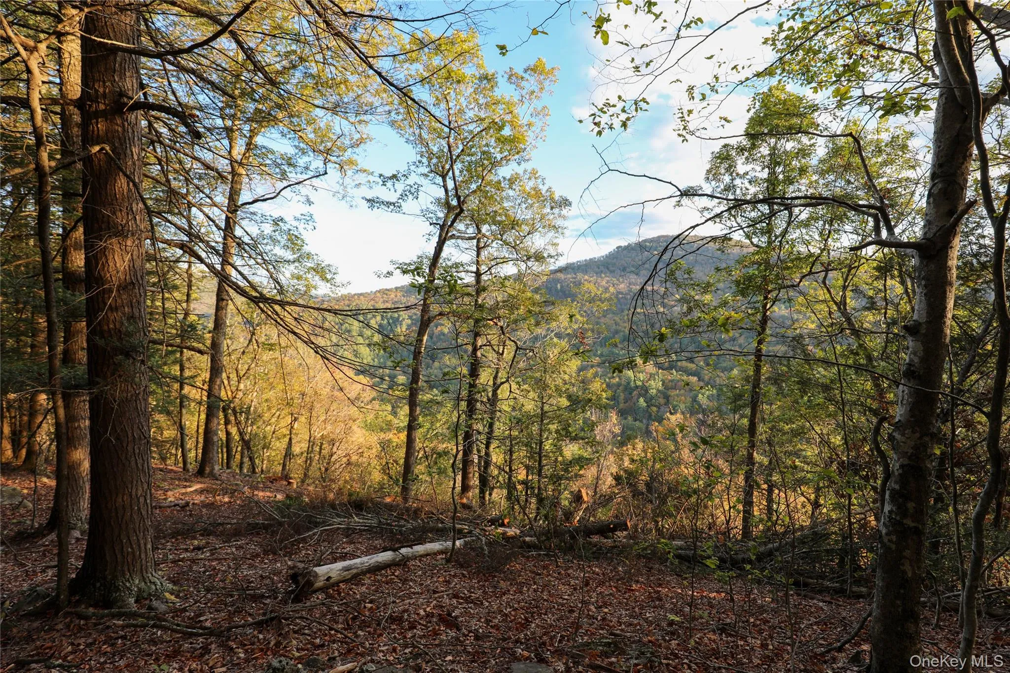 TBD NY-28 Route, Shandaken, NY, ,Land,For Rent,Route,0,1002913 TBD NY-28 Route, Shandaken, NY, ,Land,For Rent,Route,0,1002913