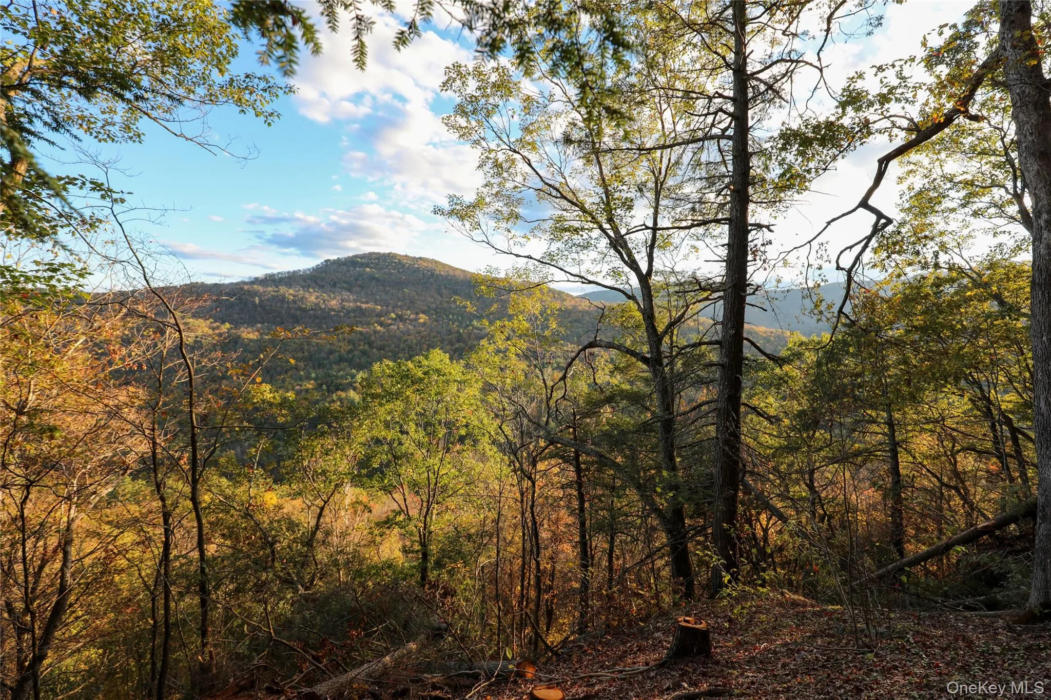 TBD NY-28 Route, Shandaken, NY, ,Land,For Rent,Route,0,1002913 TBD NY-28 Route, Shandaken, NY, ,Land,For Rent,Route,0,1002913