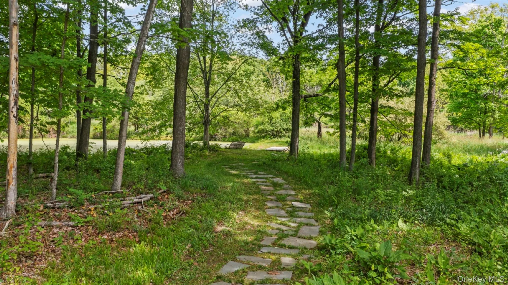 74 Willow Brook Road, Stanford, NY, 3 Bedrooms Bedrooms, 5 Rooms Rooms,2 BathroomsBathrooms,Residential,For Rent,Willow Brook,0,1002917 74 Willow Brook Road, Stanford, NY, 3 Bedrooms Bedrooms, 5 Rooms Rooms,2 BathroomsBathrooms,Residential,For Rent,Willow Brook,0,1002917