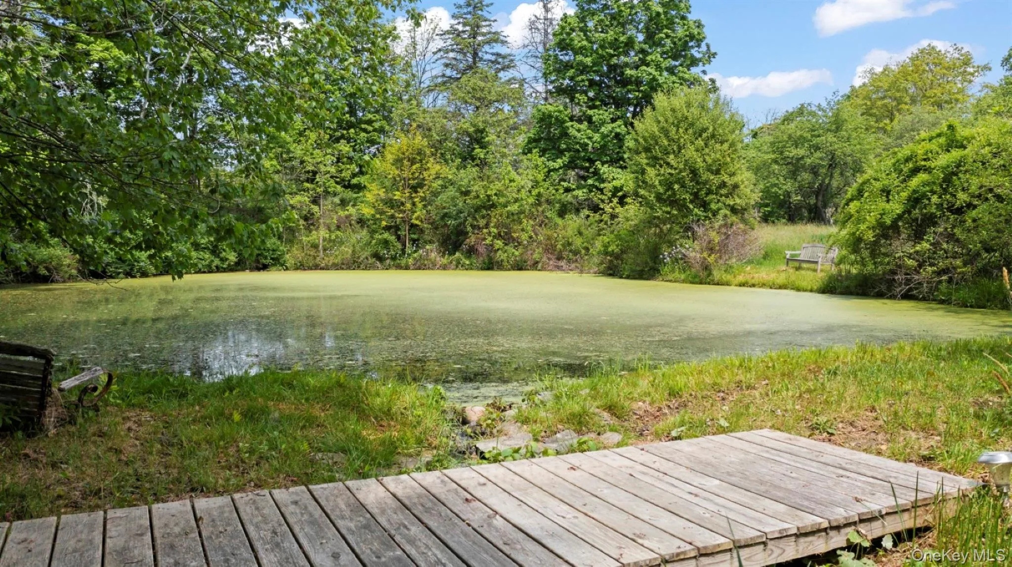 74 Willow Brook Road, Stanford, NY, 3 Bedrooms Bedrooms, 5 Rooms Rooms,2 BathroomsBathrooms,Residential,For Rent,Willow Brook,0,1002917 74 Willow Brook Road, Stanford, NY, 3 Bedrooms Bedrooms, 5 Rooms Rooms,2 BathroomsBathrooms,Residential,For Rent,Willow Brook,0,1002917
