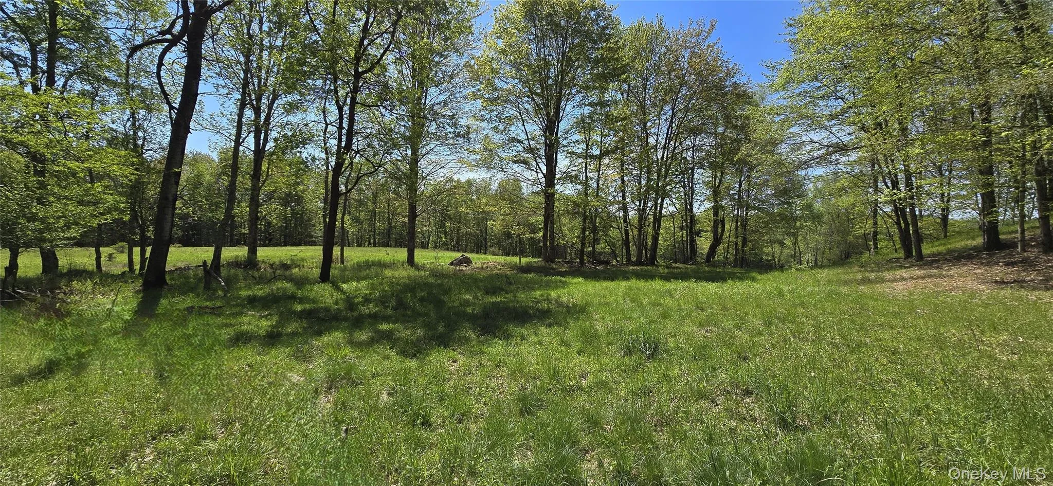 26 Beckys Hill Road, Fallsburg, NY, 3 Bedrooms Bedrooms, 9 Rooms Rooms,2 BathroomsBathrooms,Residential Sale,For Rent,Beckys Hill,0,1002927 26 Beckys Hill Road, Fallsburg, NY, 3 Bedrooms Bedrooms, 9 Rooms Rooms,2 BathroomsBathrooms,Residential Sale,For Rent,Beckys Hill,0,1002927