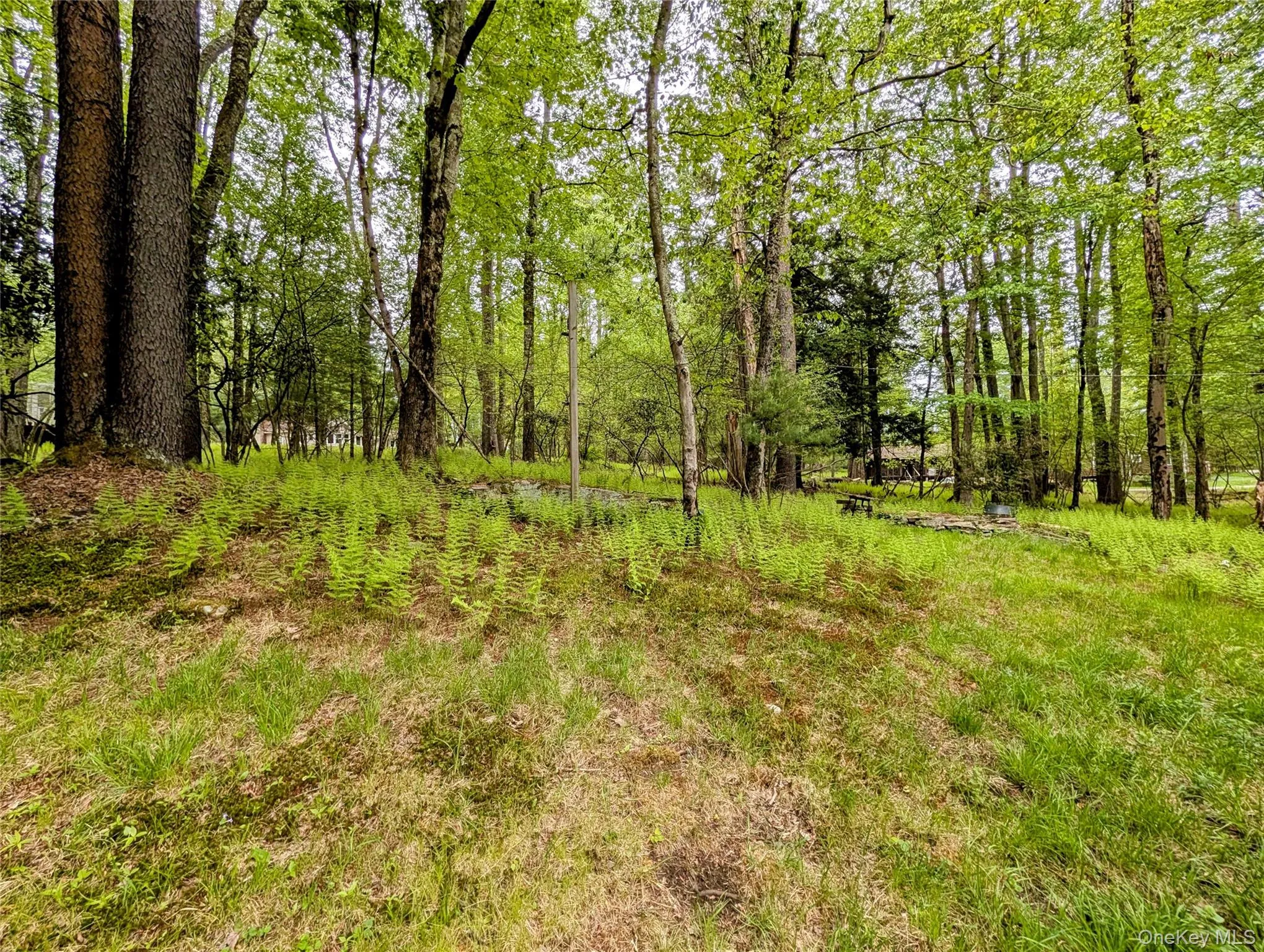 628 Lake Shore Drive, Bethel, NY, 3 Bedrooms Bedrooms, 9 Rooms Rooms,1 BathroomBathrooms,Residential,For Rent,Lake Shore,0,1003006 628 Lake Shore Drive, Bethel, NY, 3 Bedrooms Bedrooms, 9 Rooms Rooms,1 BathroomBathrooms,Residential,For Rent,Lake Shore,0,1003006