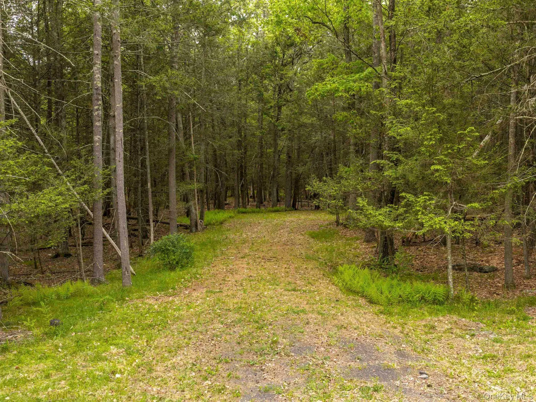 Lot #4 Entrance Lot #4 Entrance