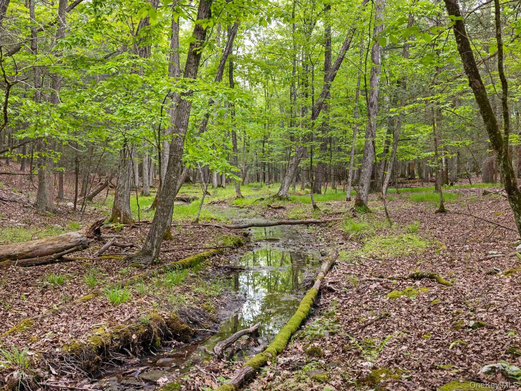 Stream Stream