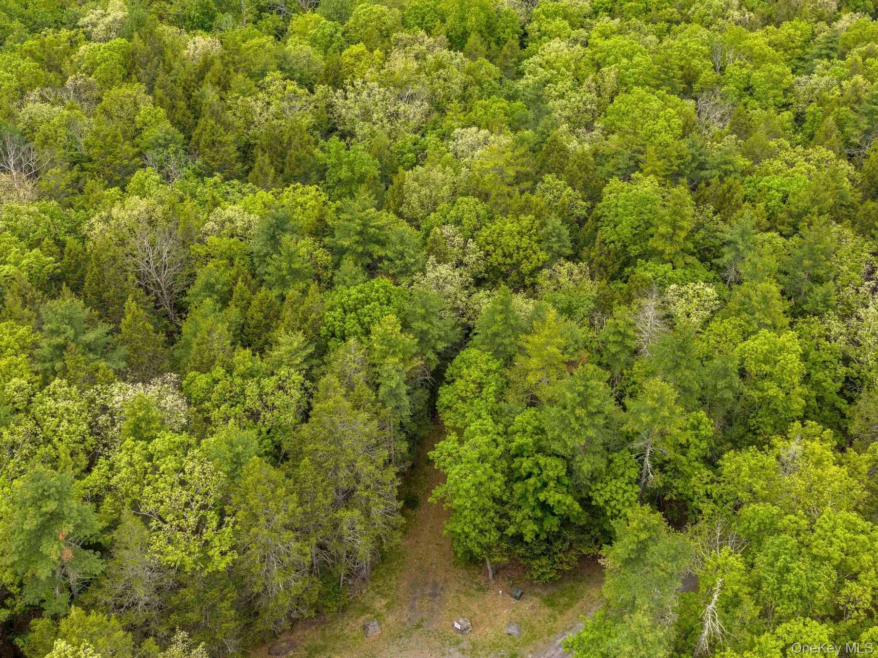 Drone photo of drive into Lot#4. Drone photo of drive into Lot#4.