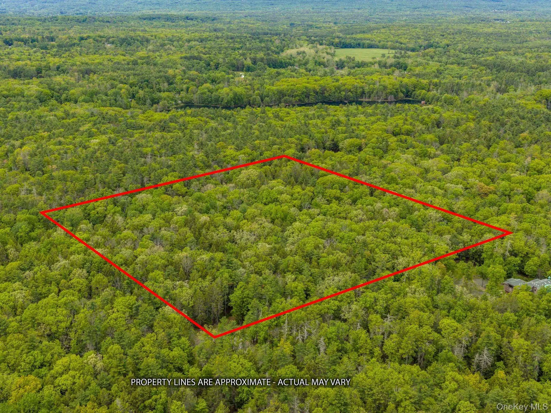 40 Mamoud Hills Road, Woodstock, NY, ,Land,For Rent,Mamoud Hills,0,1003061 40 Mamoud Hills Road, Woodstock, NY, ,Land,For Rent,Mamoud Hills,0,1003061