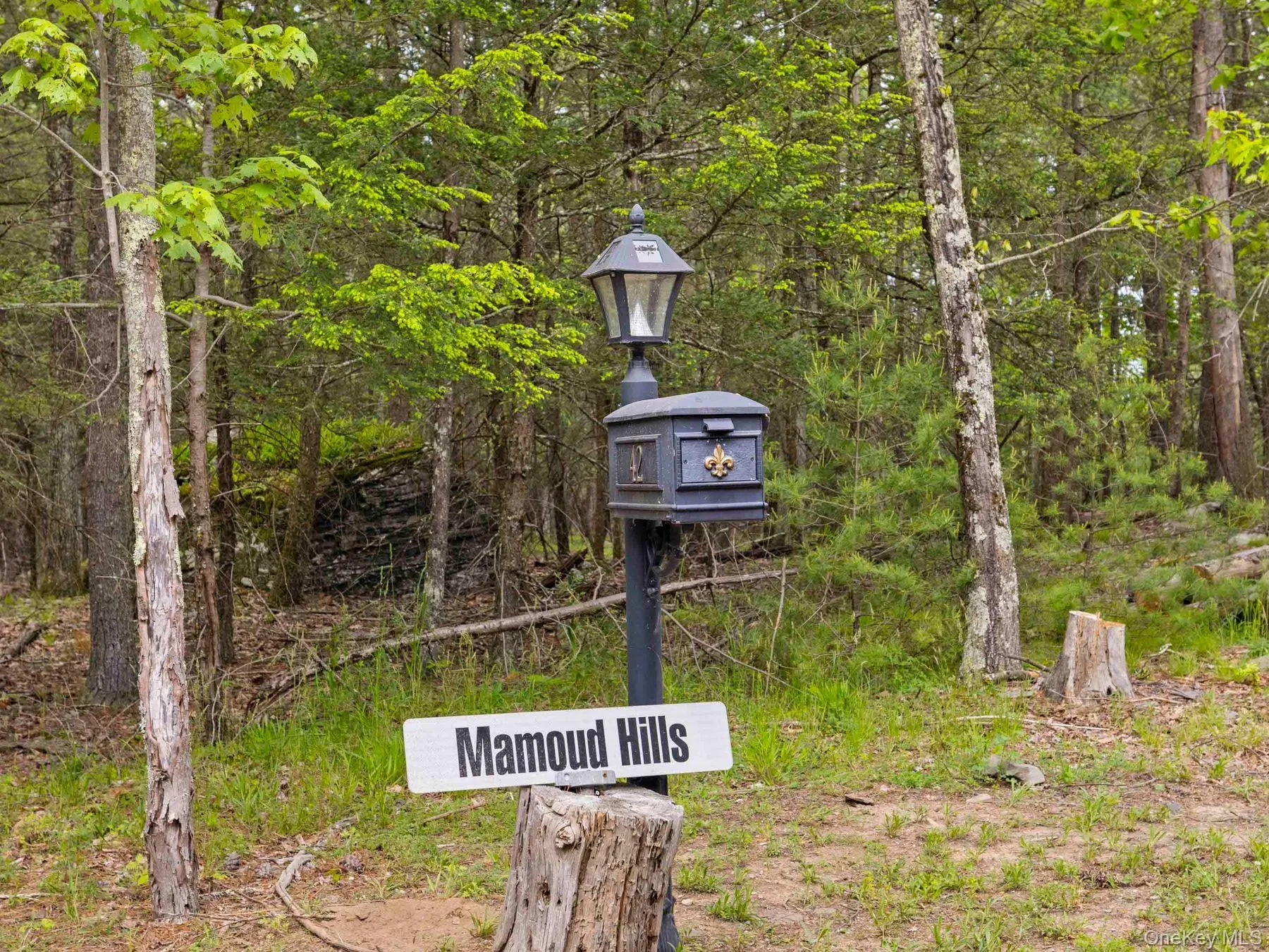 First mailbox First mailbox