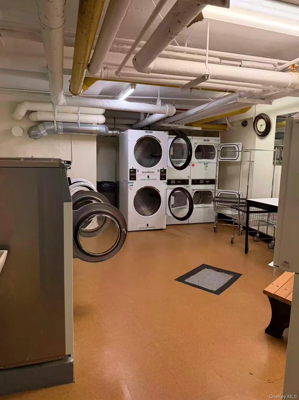 84-19 51st Avenue, New York, NY, 2 Bedrooms Bedrooms, 4 Rooms Rooms,1 BathroomBathrooms,Residential,For Rent,51st,0,1003071 84-19 51st Avenue, New York, NY, 2 Bedrooms Bedrooms, 4 Rooms Rooms,1 BathroomBathrooms,Residential,For Rent,51st,0,1003071