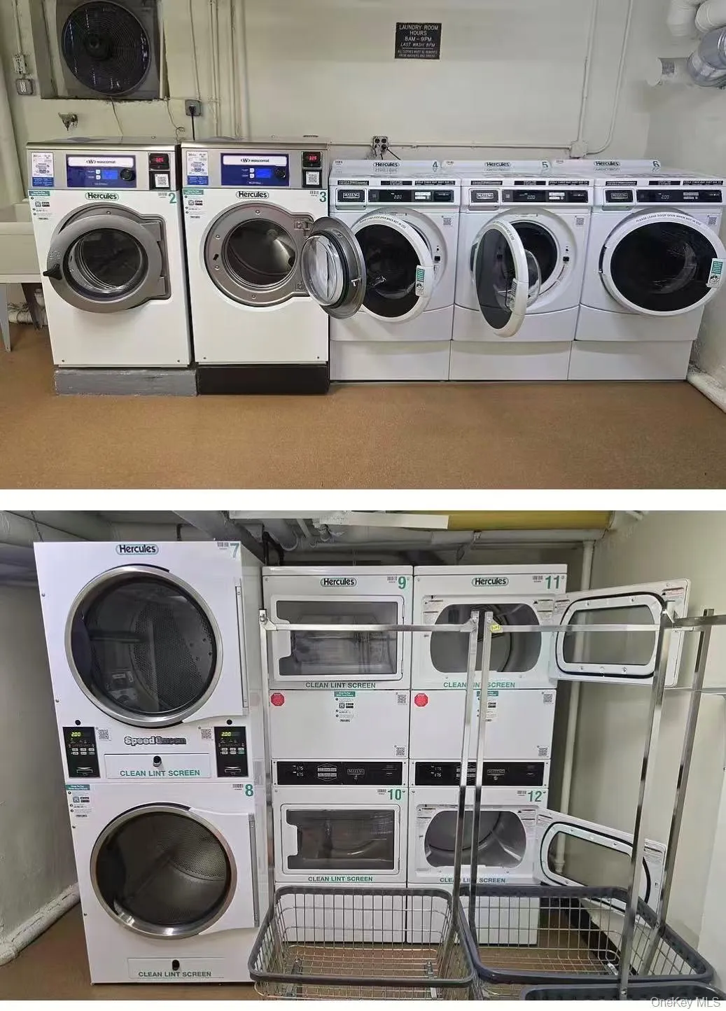 84-19 51st Avenue, New York, NY, 2 Bedrooms Bedrooms, 4 Rooms Rooms,1 BathroomBathrooms,Residential,For Rent,51st,0,1003071 84-19 51st Avenue, New York, NY, 2 Bedrooms Bedrooms, 4 Rooms Rooms,1 BathroomBathrooms,Residential,For Rent,51st,0,1003071