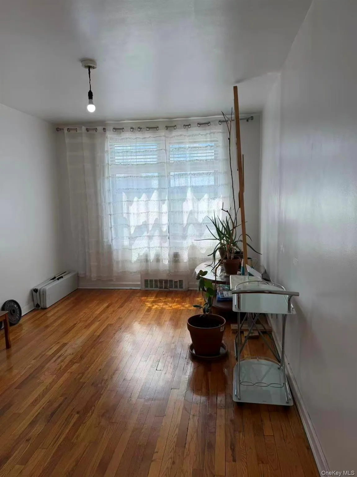 84-19 51st Avenue, New York, NY, 2 Bedrooms Bedrooms, 4 Rooms Rooms,1 BathroomBathrooms,Residential,For Rent,51st,0,1003071 84-19 51st Avenue, New York, NY, 2 Bedrooms Bedrooms, 4 Rooms Rooms,1 BathroomBathrooms,Residential,For Rent,51st,0,1003071