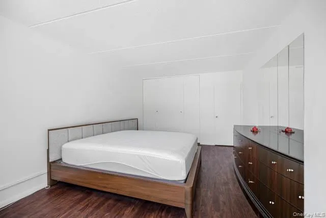 Bedroom featuring wood-finish flooring, white walls, and multiple built-in closet doors Bedroom featuring wood-finish flooring, white walls, and multiple built-in closet doors