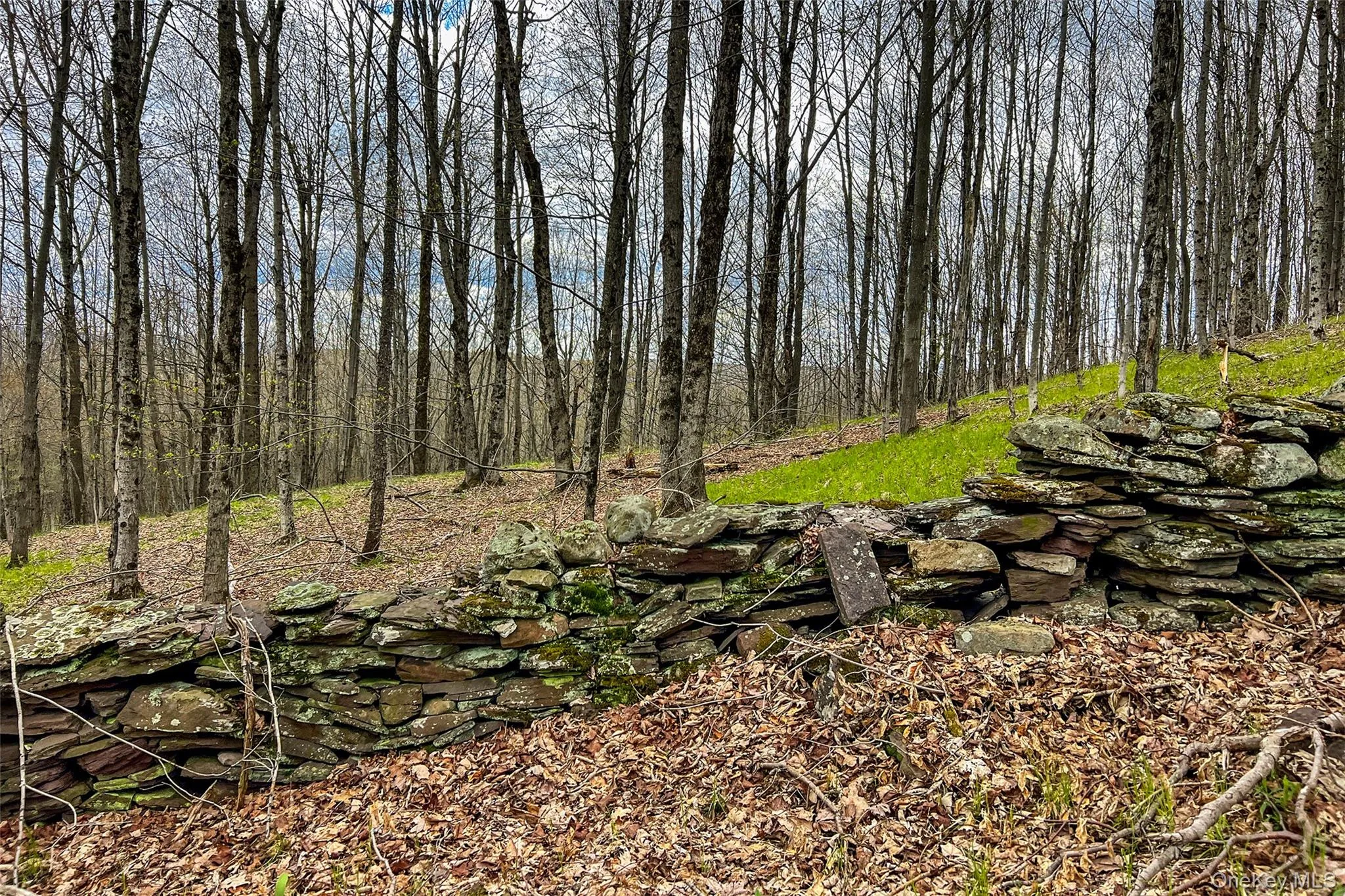 0 Brownell Road, Kortright, NY, ,Land,For Rent,Brownell,0,1003122 0 Brownell Road, Kortright, NY, ,Land,For Rent,Brownell,0,1003122