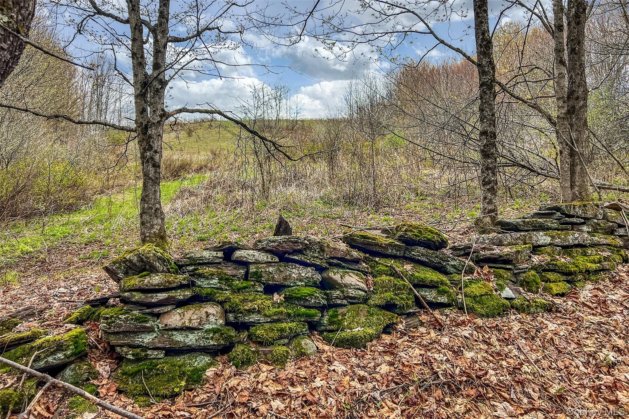 0 Brownell Road, Kortright, NY, ,Land,For Rent,Brownell,0,1003122 0 Brownell Road, Kortright, NY, ,Land,For Rent,Brownell,0,1003122