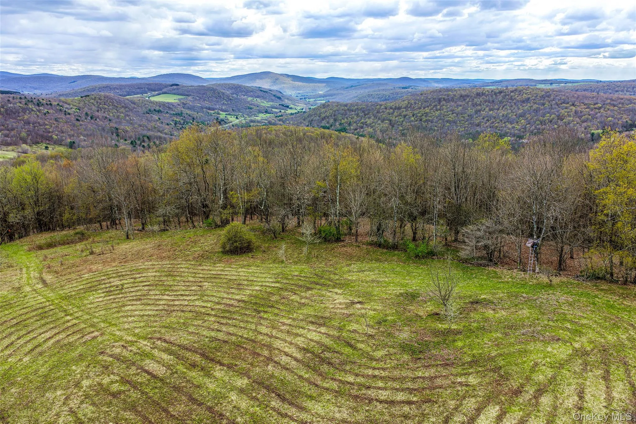 0 Brownell Road, Kortright, NY, ,Land,For Rent,Brownell,0,1003122 0 Brownell Road, Kortright, NY, ,Land,For Rent,Brownell,0,1003122