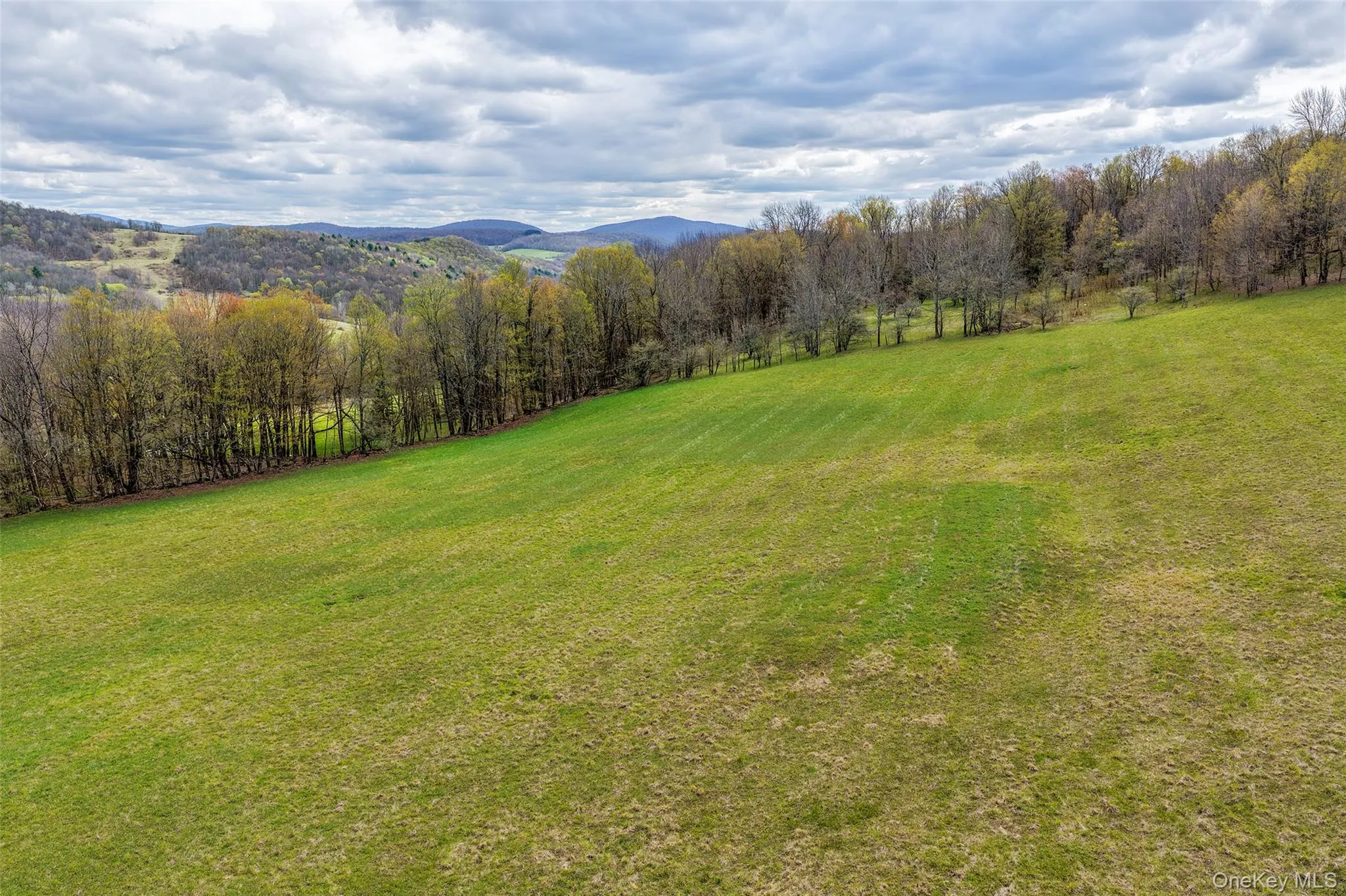 0 Brownell Road, Kortright, NY, ,Land,For Rent,Brownell,0,1003122 0 Brownell Road, Kortright, NY, ,Land,For Rent,Brownell,0,1003122