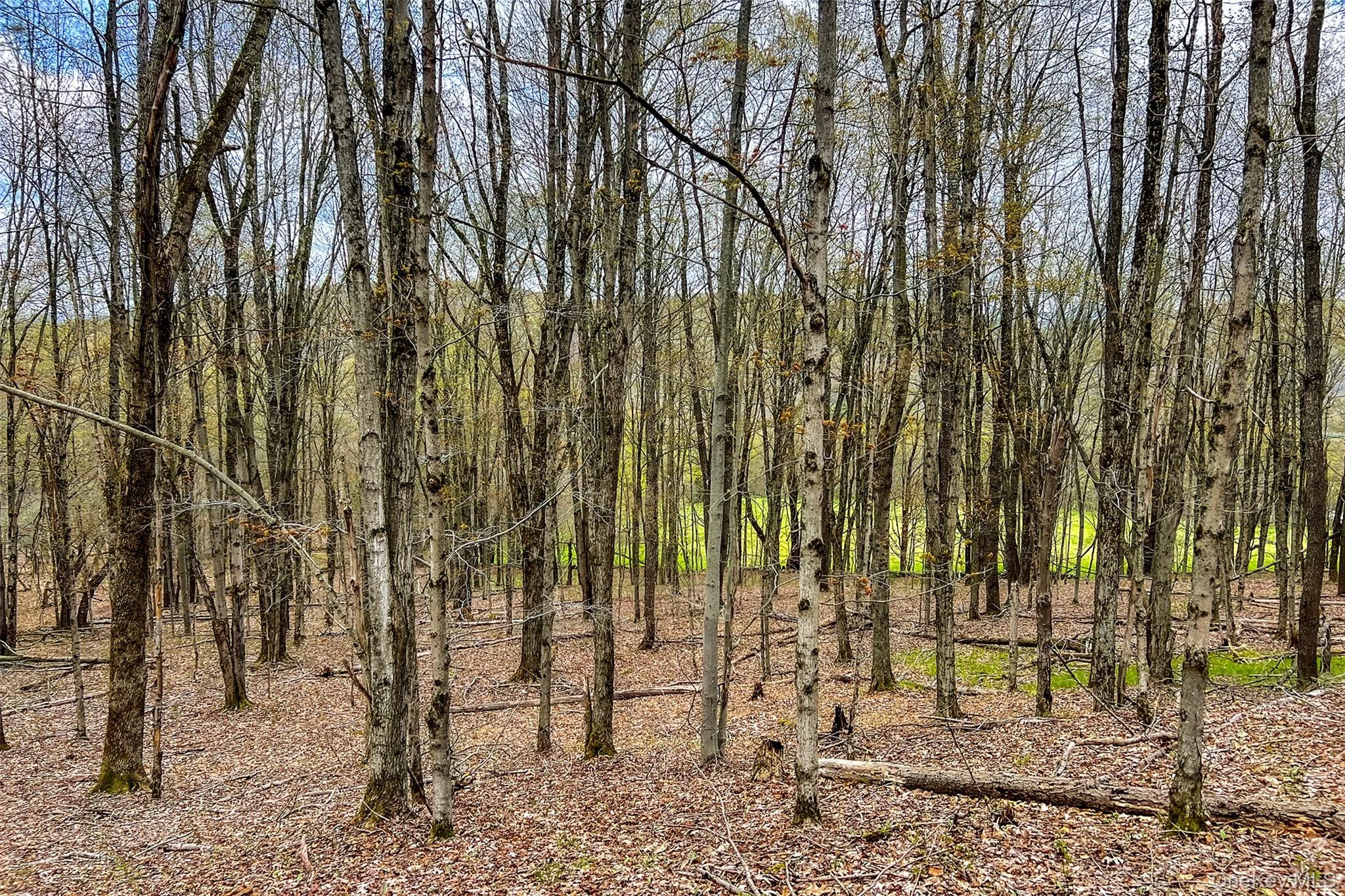 0 Brownell Road, Kortright, NY, ,Land,For Rent,Brownell,0,1003122 0 Brownell Road, Kortright, NY, ,Land,For Rent,Brownell,0,1003122
