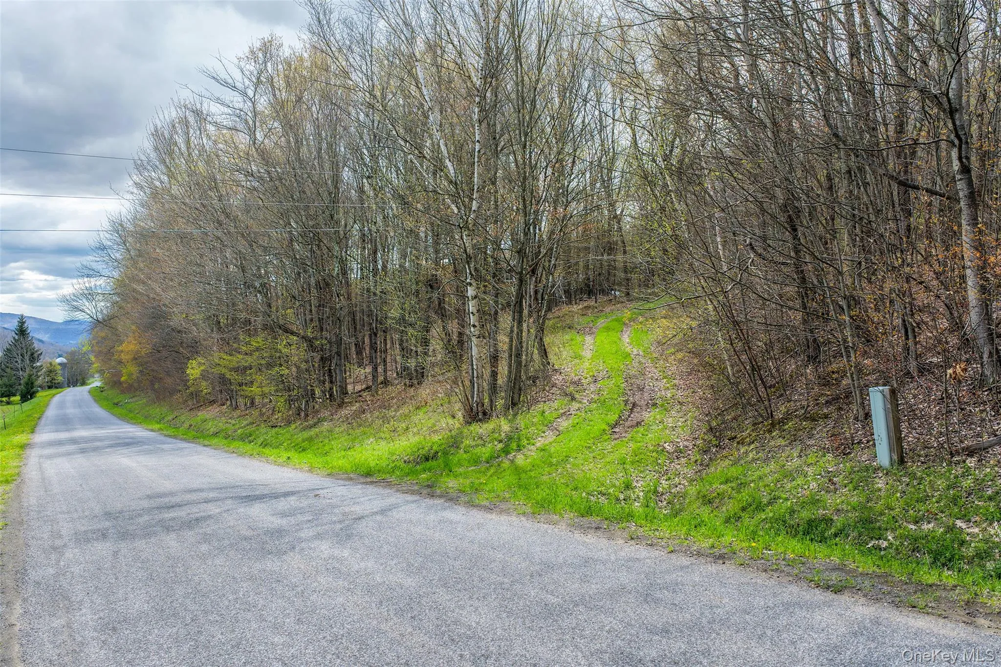0 Brownell Road, Kortright, NY, ,Land,For Rent,Brownell,0,1003122 0 Brownell Road, Kortright, NY, ,Land,For Rent,Brownell,0,1003122