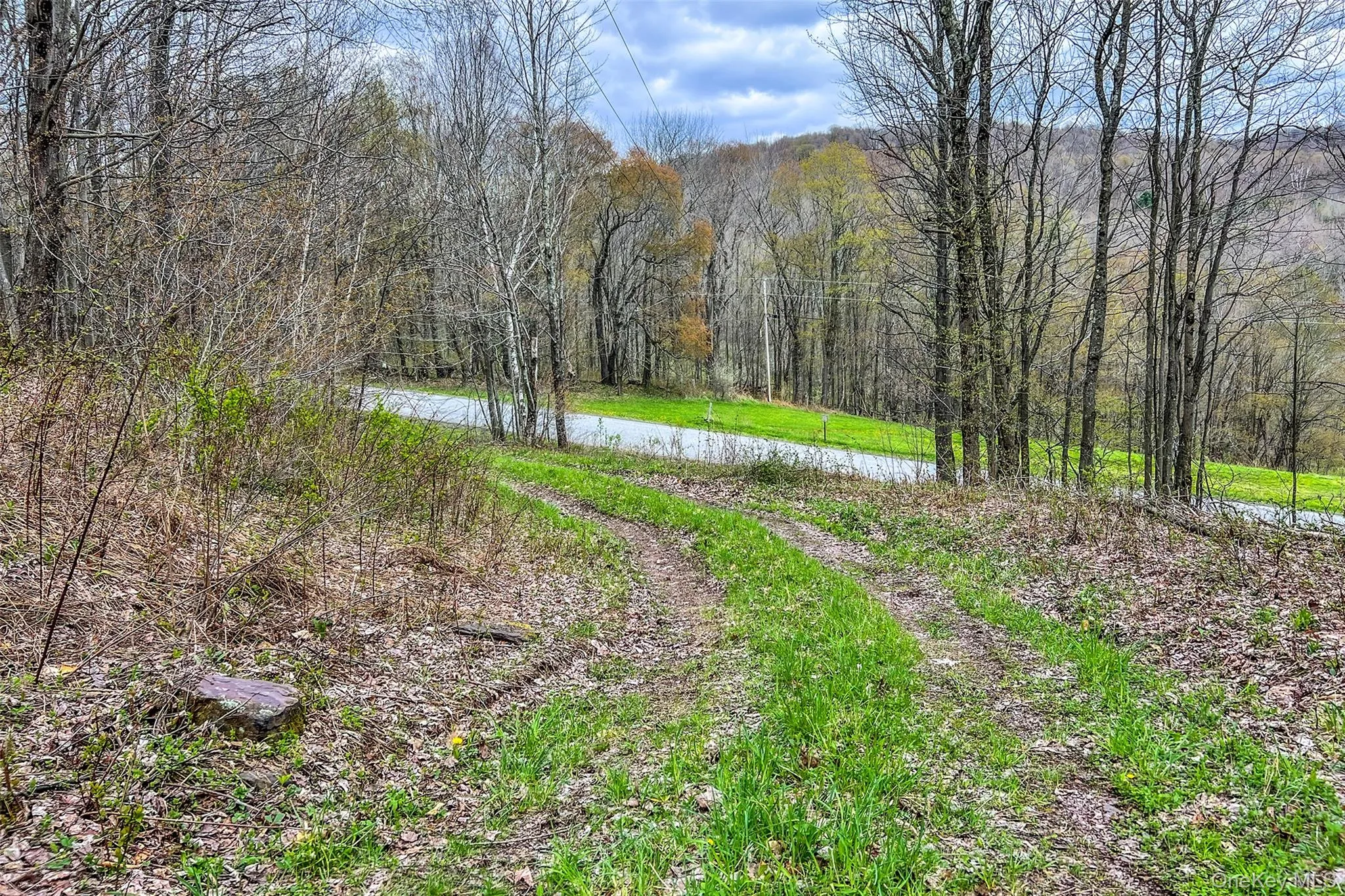 0 Brownell Road, Kortright, NY, ,Land,For Rent,Brownell,0,1003122 0 Brownell Road, Kortright, NY, ,Land,For Rent,Brownell,0,1003122