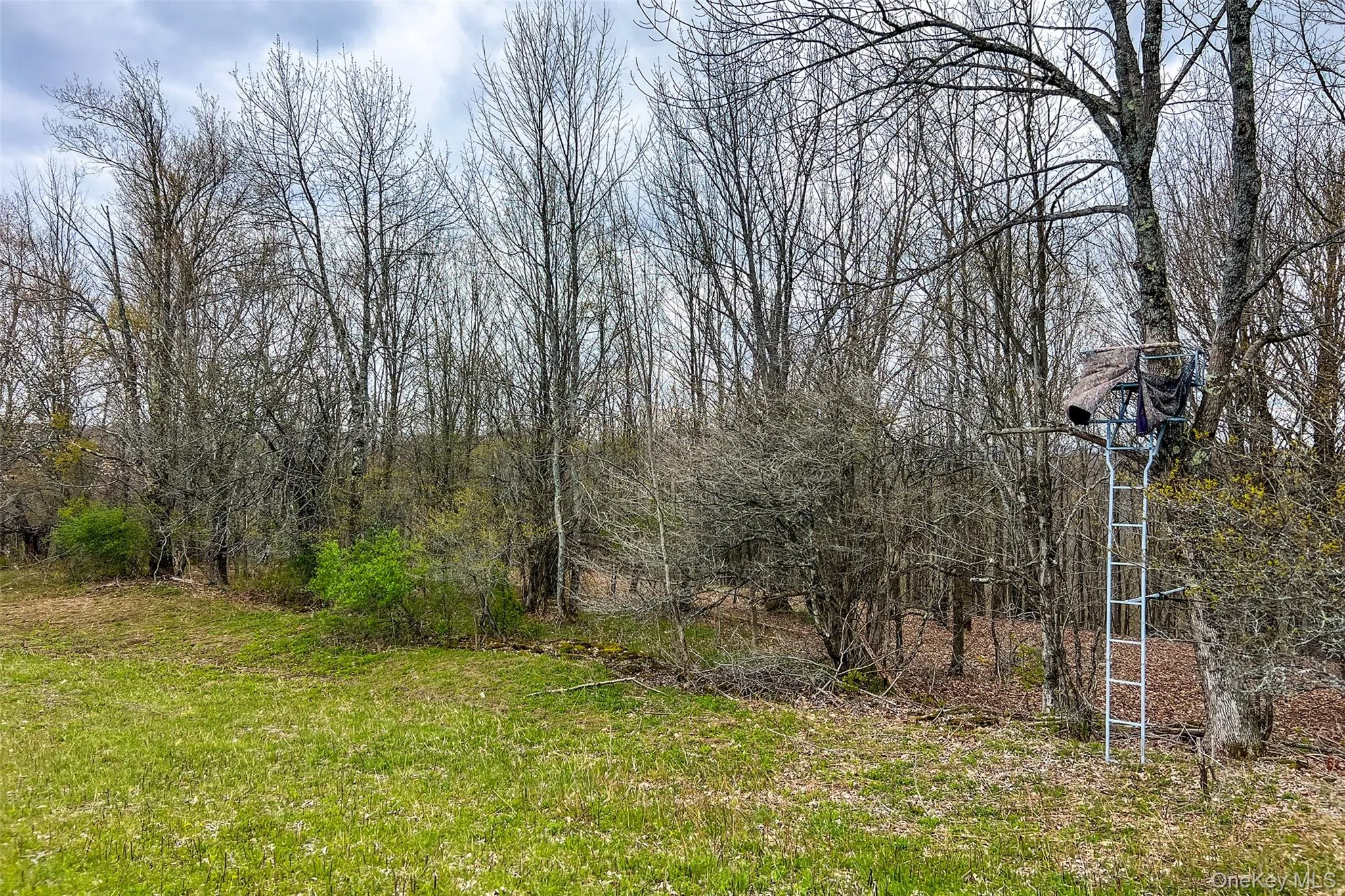 0 Brownell Road, Kortright, NY, ,Land,For Rent,Brownell,0,1003122 0 Brownell Road, Kortright, NY, ,Land,For Rent,Brownell,0,1003122