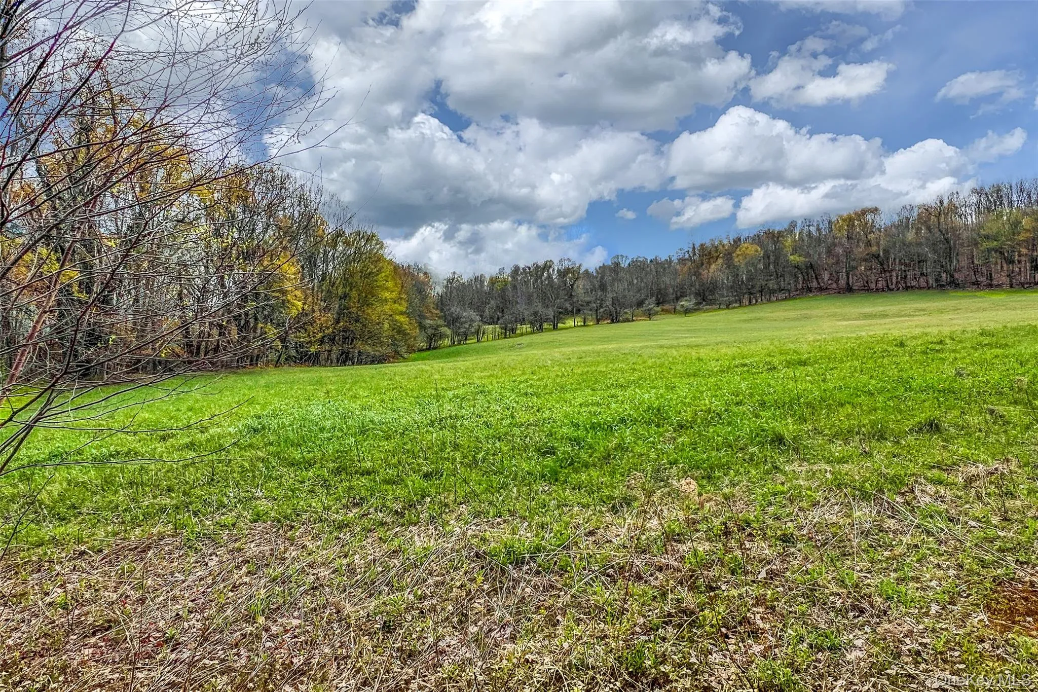 0 Brownell Road, Kortright, NY, ,Land,For Rent,Brownell,0,1003122 0 Brownell Road, Kortright, NY, ,Land,For Rent,Brownell,0,1003122