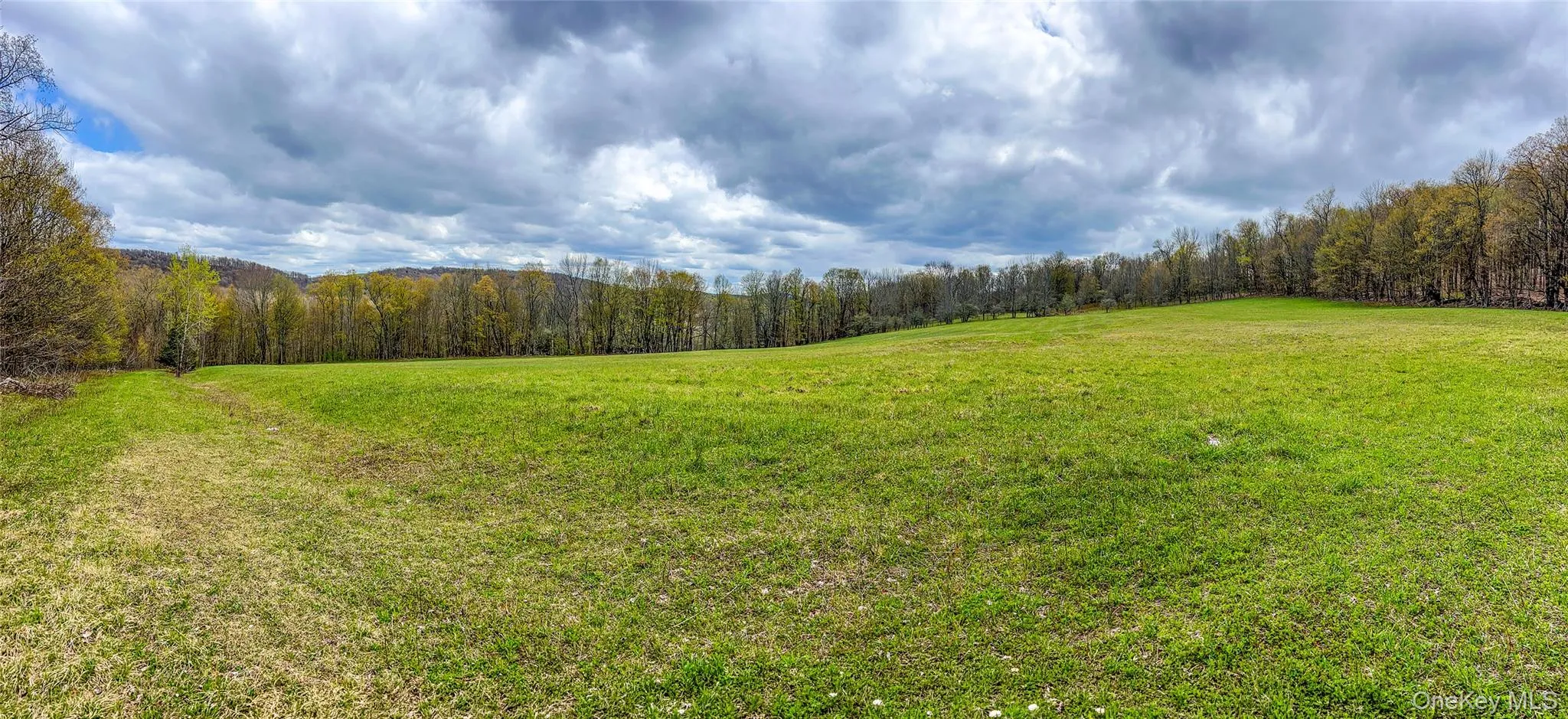 0 Brownell Road, Kortright, NY, ,Land,For Rent,Brownell,0,1003122 0 Brownell Road, Kortright, NY, ,Land,For Rent,Brownell,0,1003122