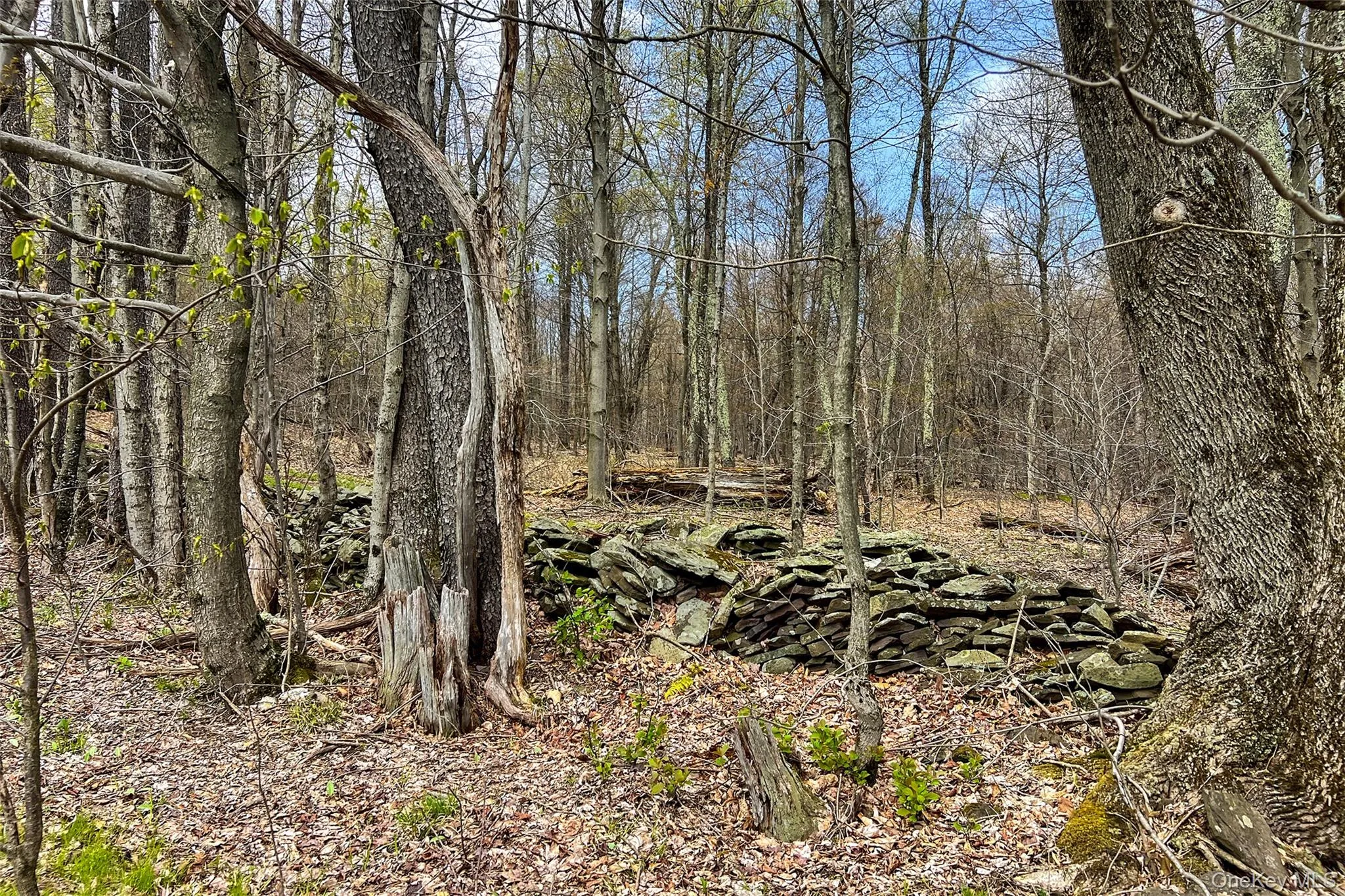 0 Brownell Road, Kortright, NY, ,Land,For Rent,Brownell,0,1003122 0 Brownell Road, Kortright, NY, ,Land,For Rent,Brownell,0,1003122