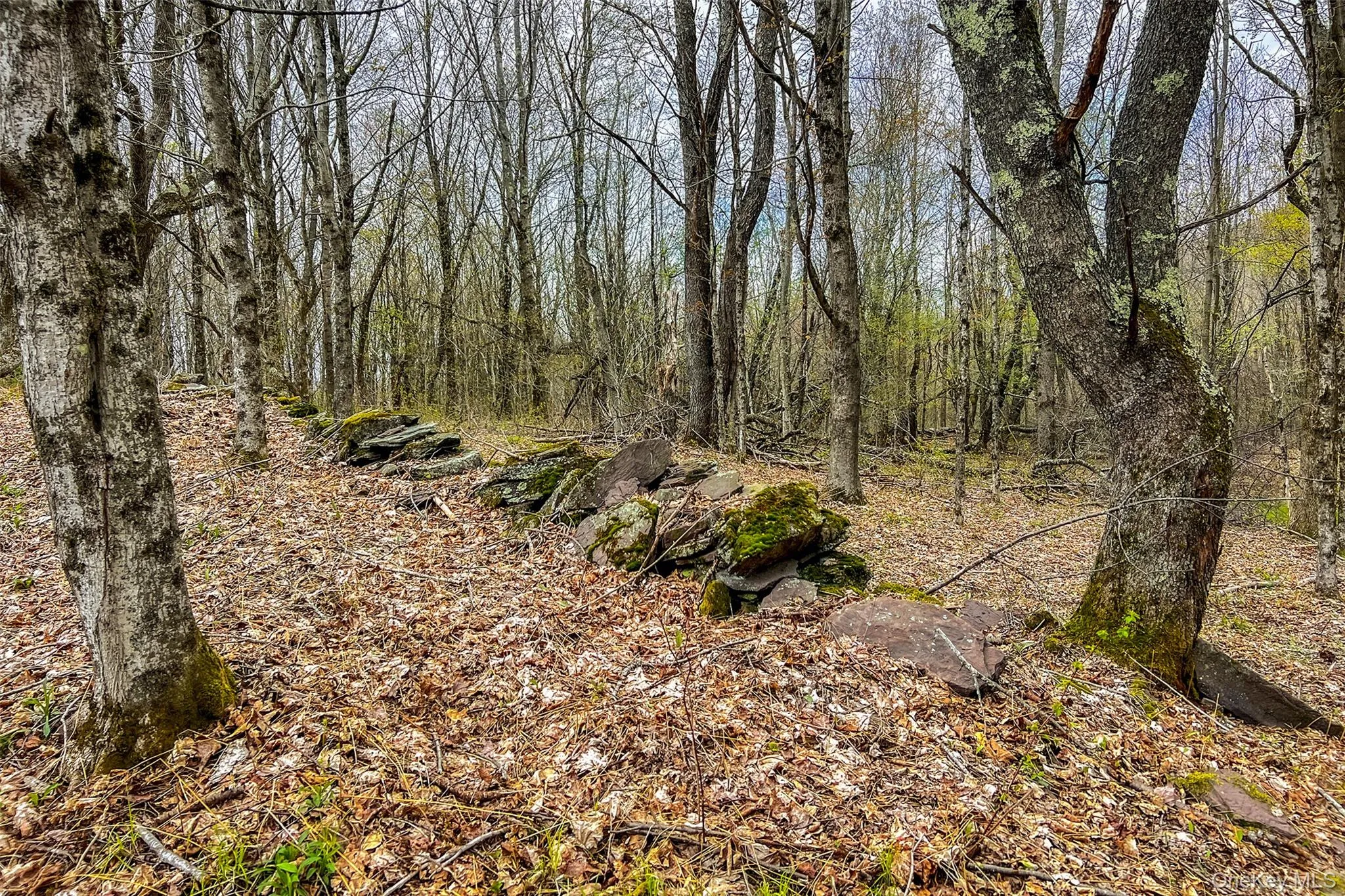 0 Brownell Road, Kortright, NY, ,Land,For Rent,Brownell,0,1003122 0 Brownell Road, Kortright, NY, ,Land,For Rent,Brownell,0,1003122