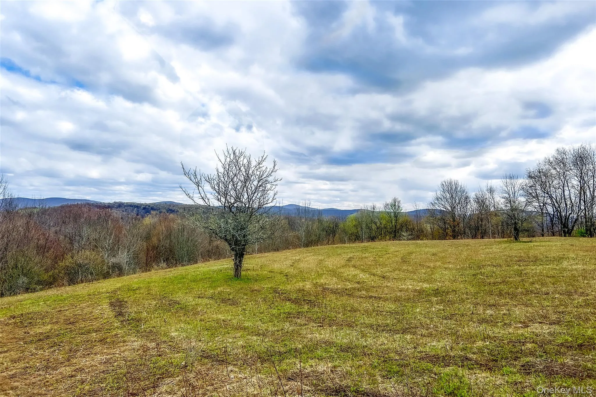 0 Brownell Road, Kortright, NY, ,Land,For Rent,Brownell,0,1003122 0 Brownell Road, Kortright, NY, ,Land,For Rent,Brownell,0,1003122