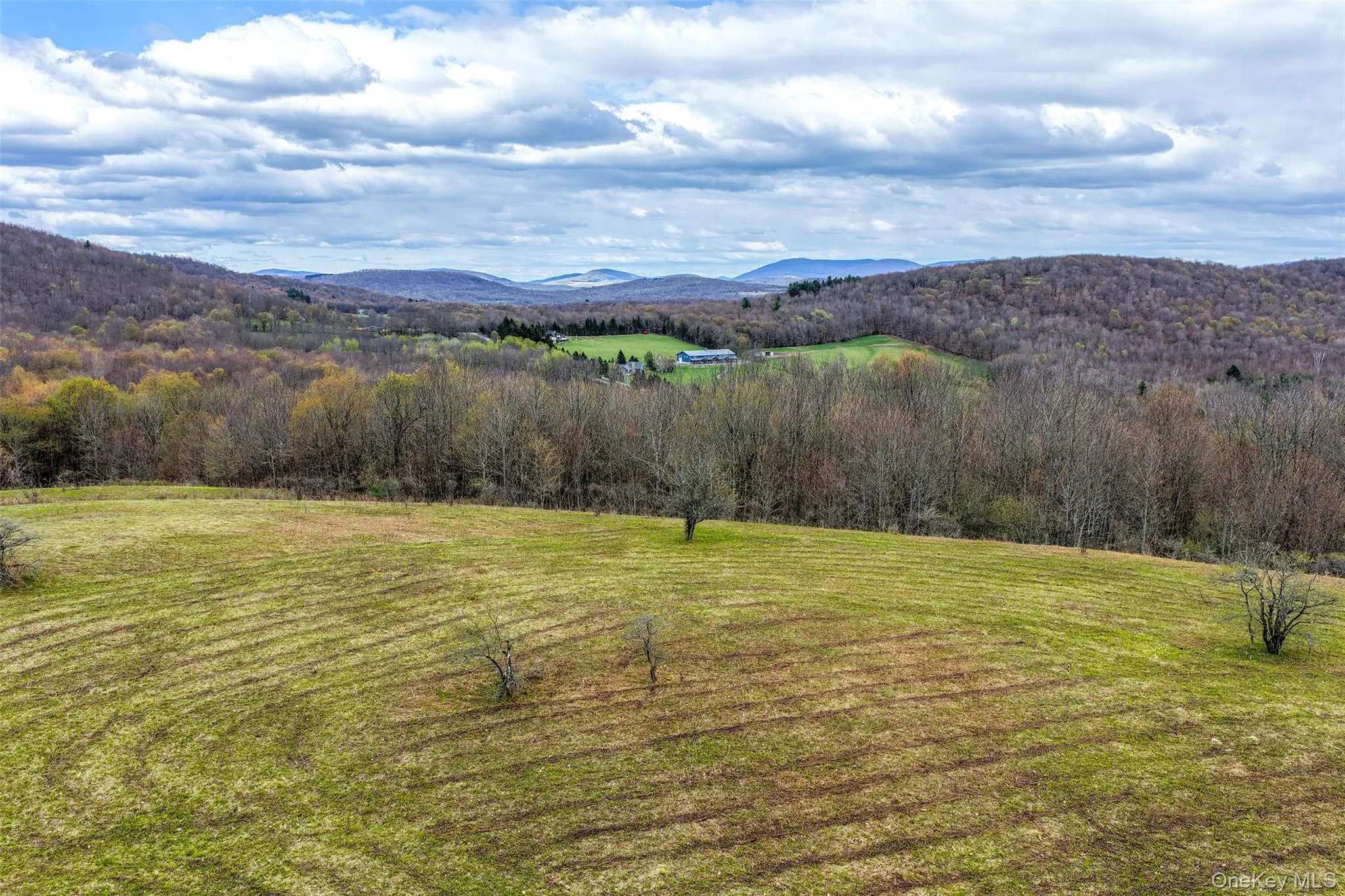 0 Brownell Road, Kortright, NY, ,Land,For Rent,Brownell,0,1003122 0 Brownell Road, Kortright, NY, ,Land,For Rent,Brownell,0,1003122