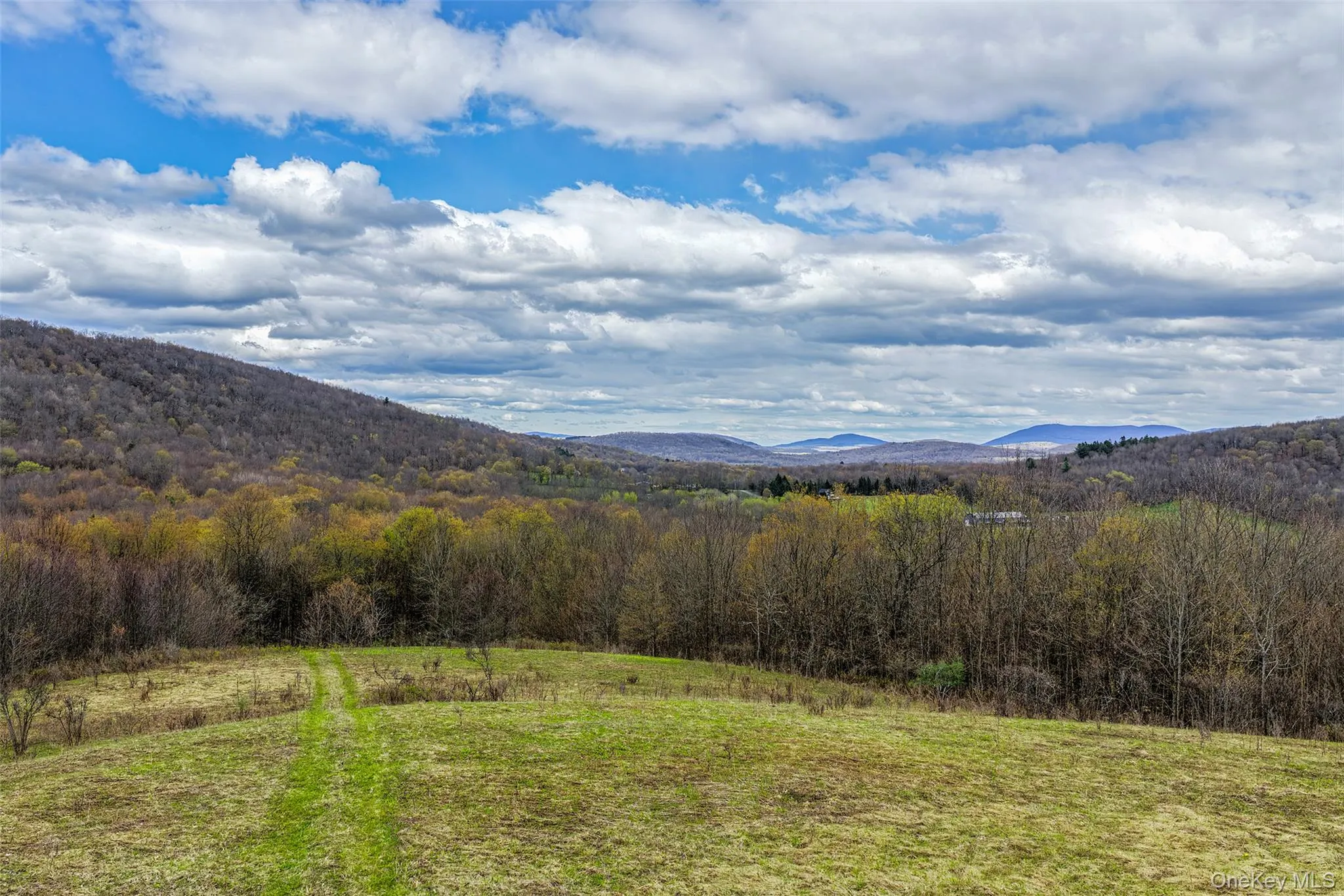 0 Brownell Road, Kortright, NY, ,Land,For Rent,Brownell,0,1003122 0 Brownell Road, Kortright, NY, ,Land,For Rent,Brownell,0,1003122