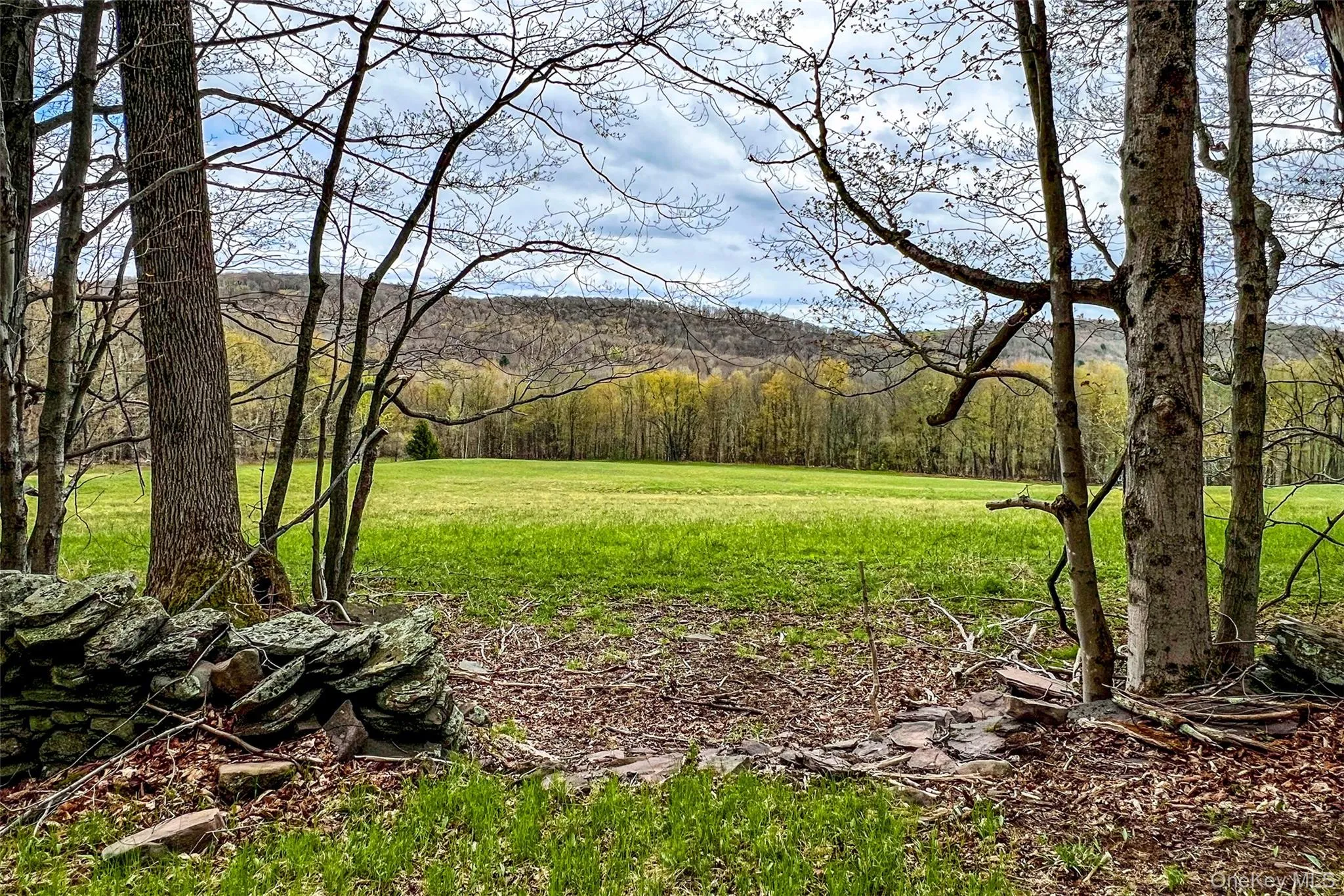 0 Brownell Road, Kortright, NY, ,Land,For Rent,Brownell,0,1003122 0 Brownell Road, Kortright, NY, ,Land,For Rent,Brownell,0,1003122