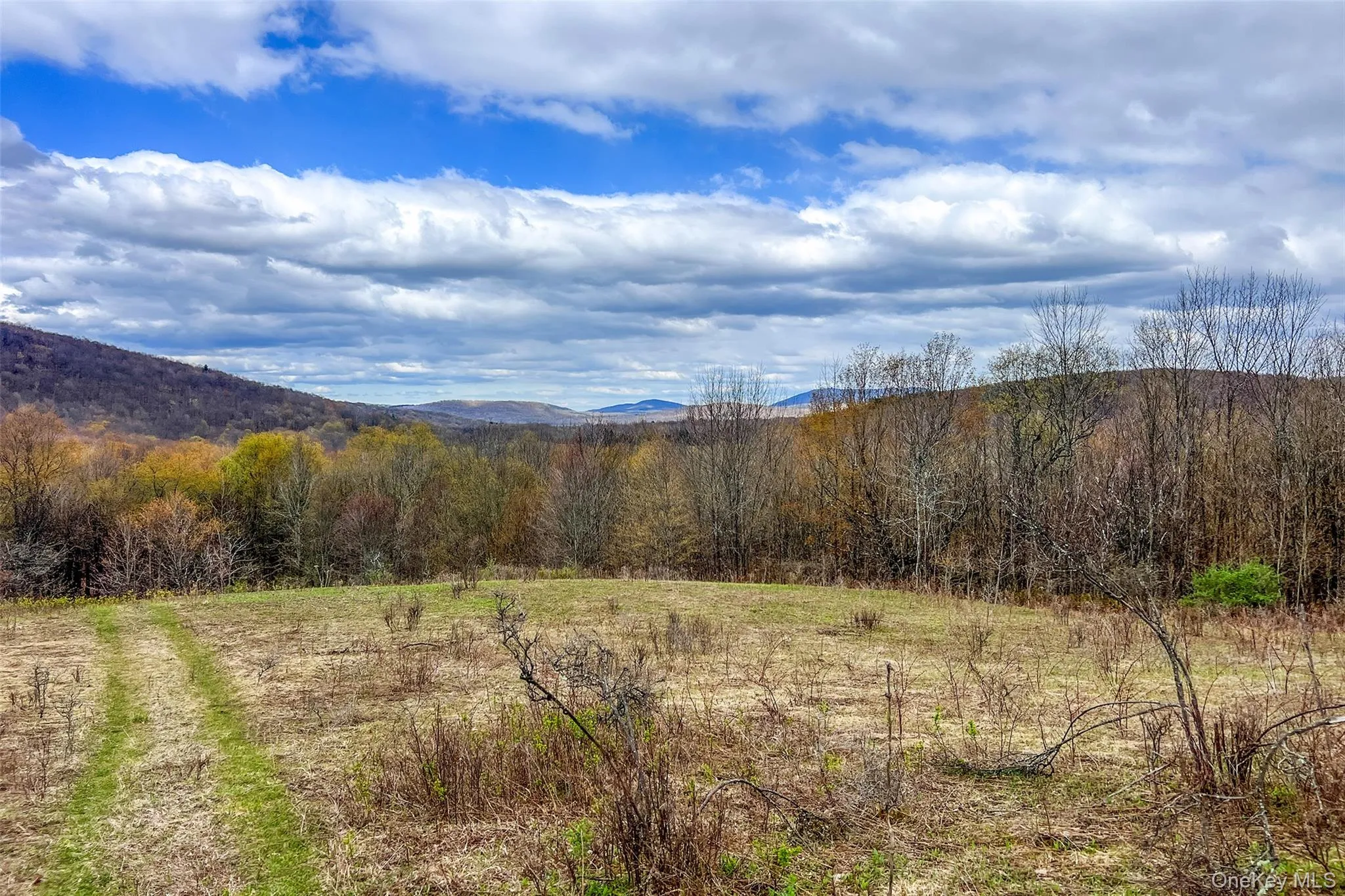 0 Brownell Road, Kortright, NY, ,Land,For Rent,Brownell,0,1003122 0 Brownell Road, Kortright, NY, ,Land,For Rent,Brownell,0,1003122
