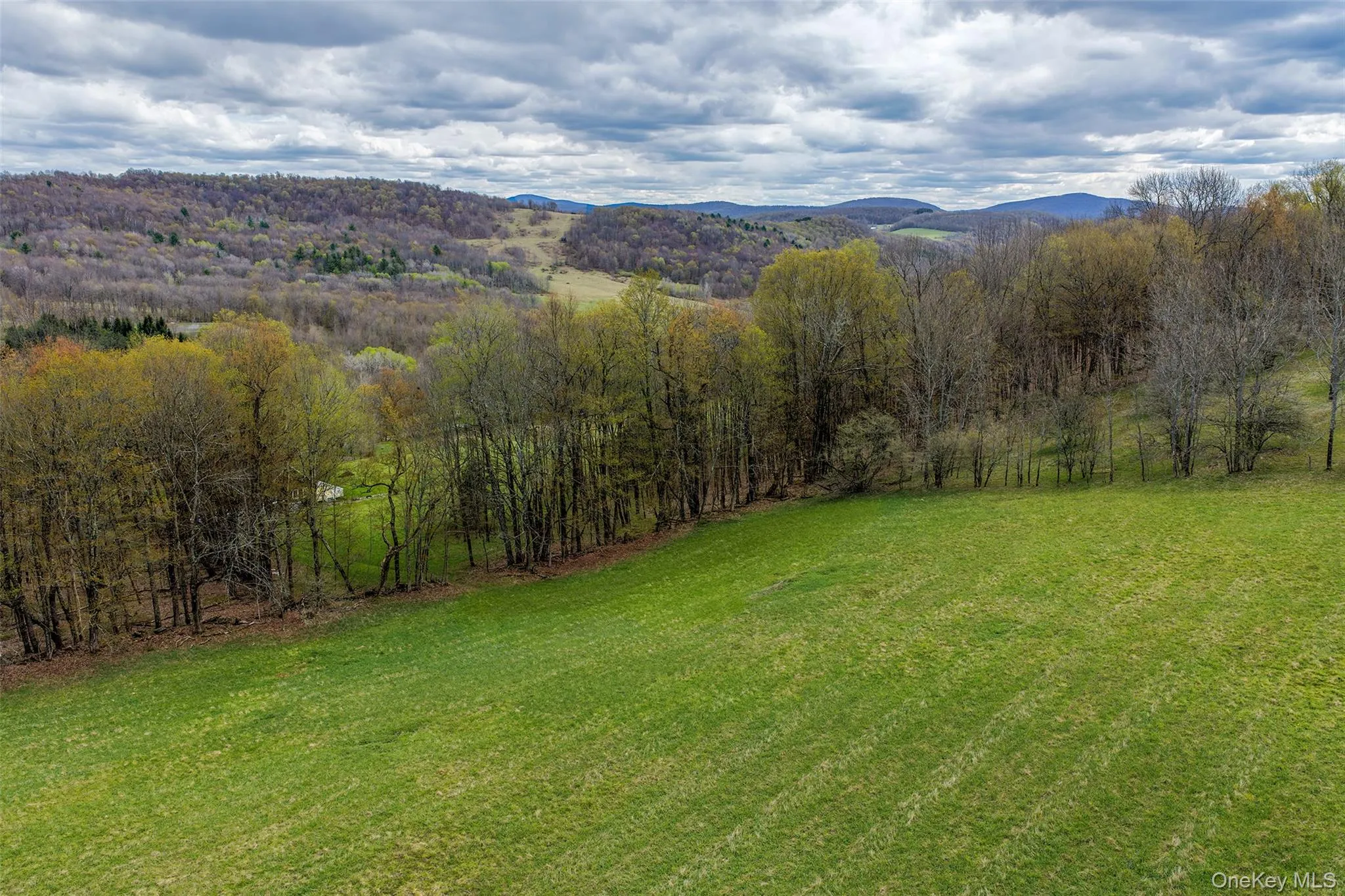 0 Brownell Road, Kortright, NY, ,Land,For Rent,Brownell,0,1003122 0 Brownell Road, Kortright, NY, ,Land,For Rent,Brownell,0,1003122