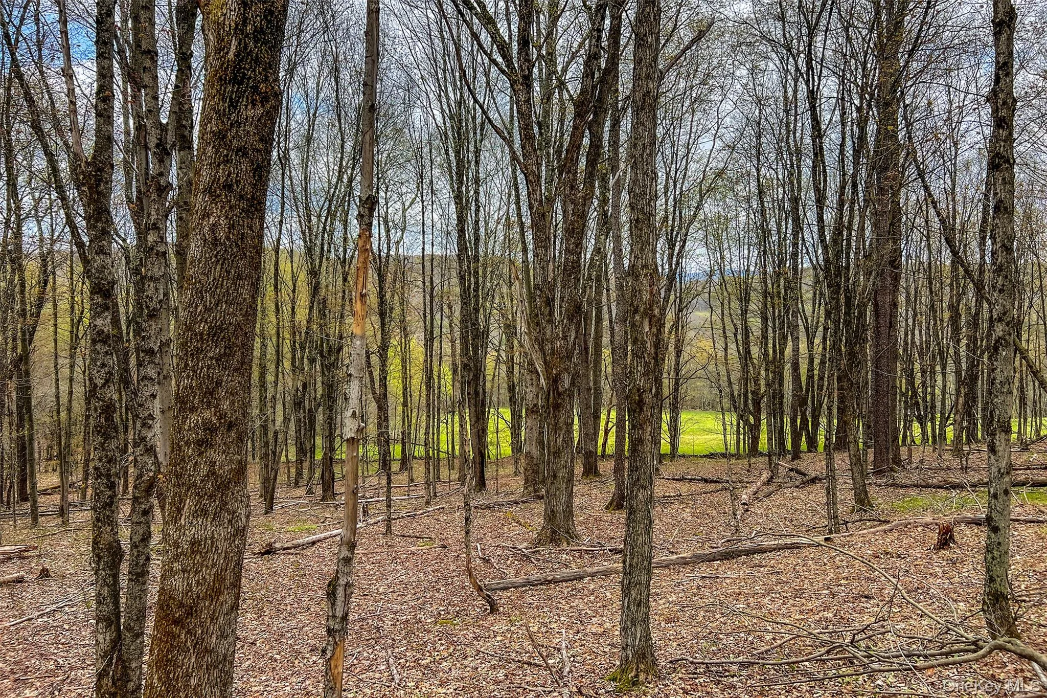 0 Brownell Road, Kortright, NY, ,Land,For Rent,Brownell,0,1003122 0 Brownell Road, Kortright, NY, ,Land,For Rent,Brownell,0,1003122