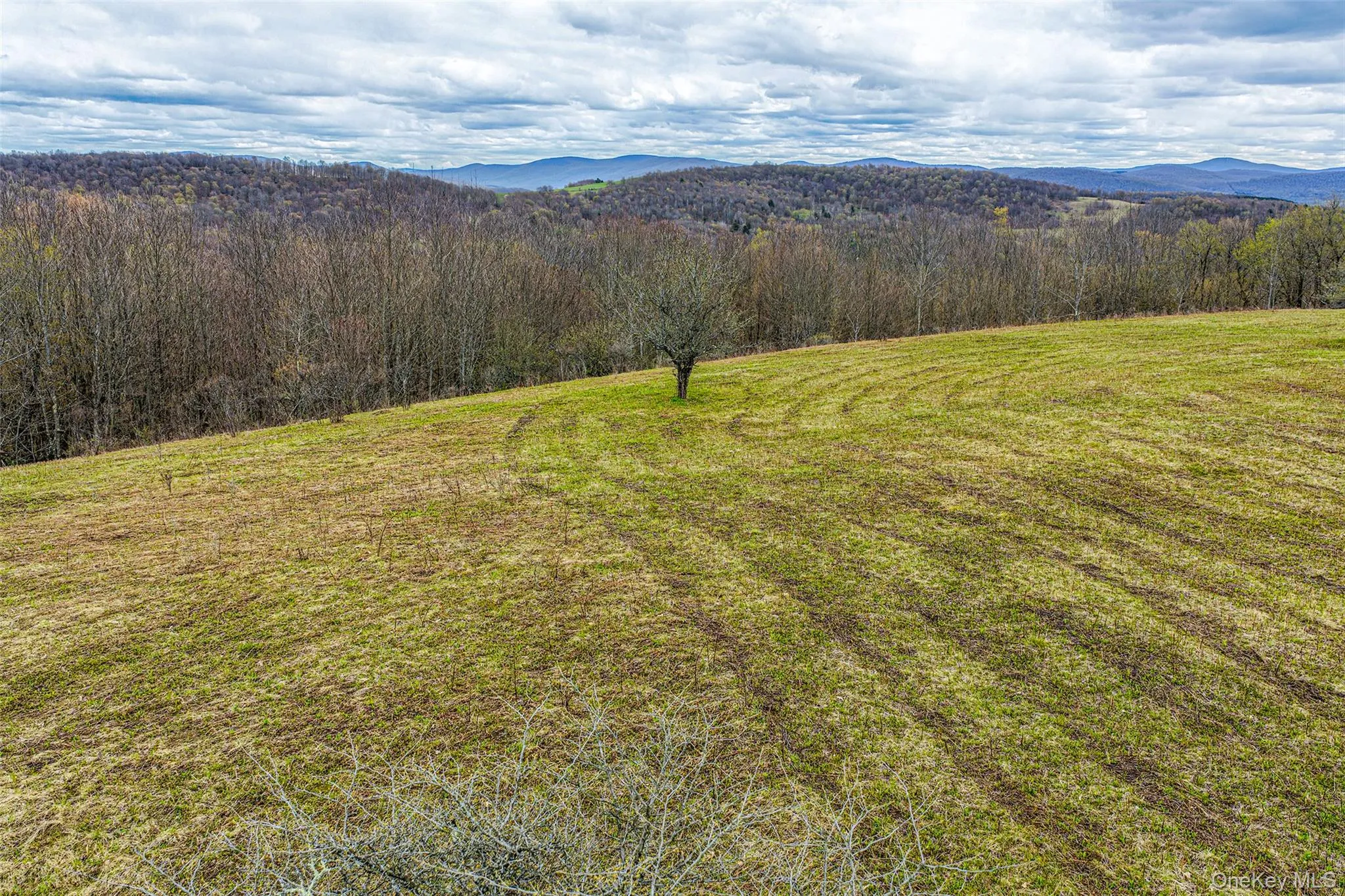 0 Brownell Road, Kortright, NY, ,Land,For Rent,Brownell,0,1003122 0 Brownell Road, Kortright, NY, ,Land,For Rent,Brownell,0,1003122