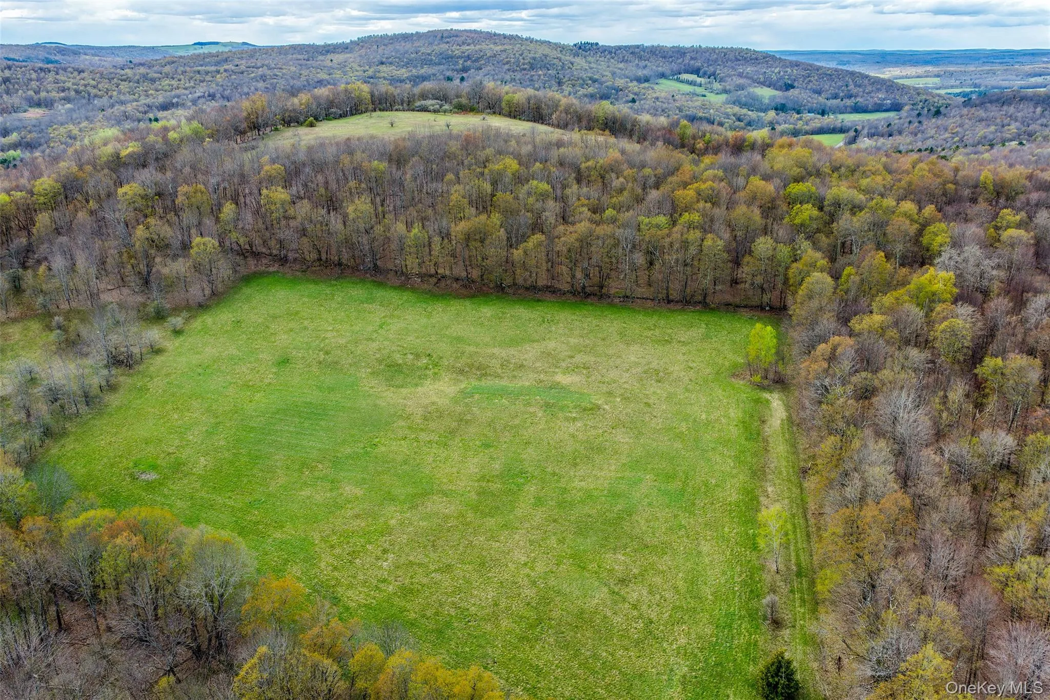 0 Brownell Road, Kortright, NY, ,Land,For Rent,Brownell,0,1003122 0 Brownell Road, Kortright, NY, ,Land,For Rent,Brownell,0,1003122