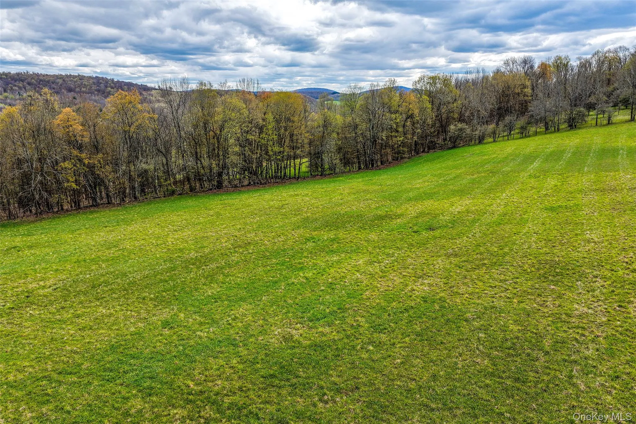 0 Brownell Road, Kortright, NY, ,Land,For Rent,Brownell,0,1003122 0 Brownell Road, Kortright, NY, ,Land,For Rent,Brownell,0,1003122