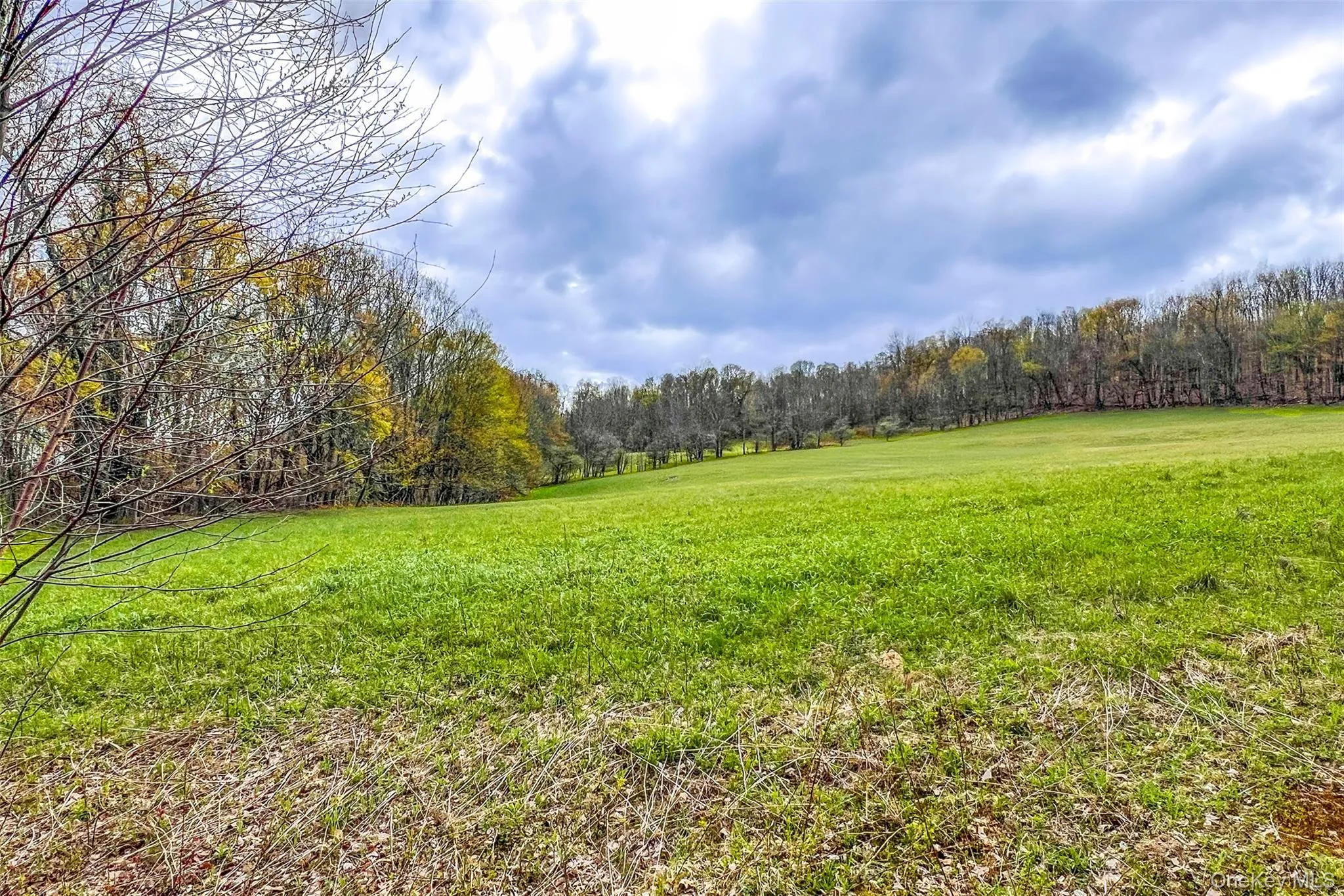 0 Brownell Road, Kortright, NY, ,Land,For Rent,Brownell,0,1003122 0 Brownell Road, Kortright, NY, ,Land,For Rent,Brownell,0,1003122