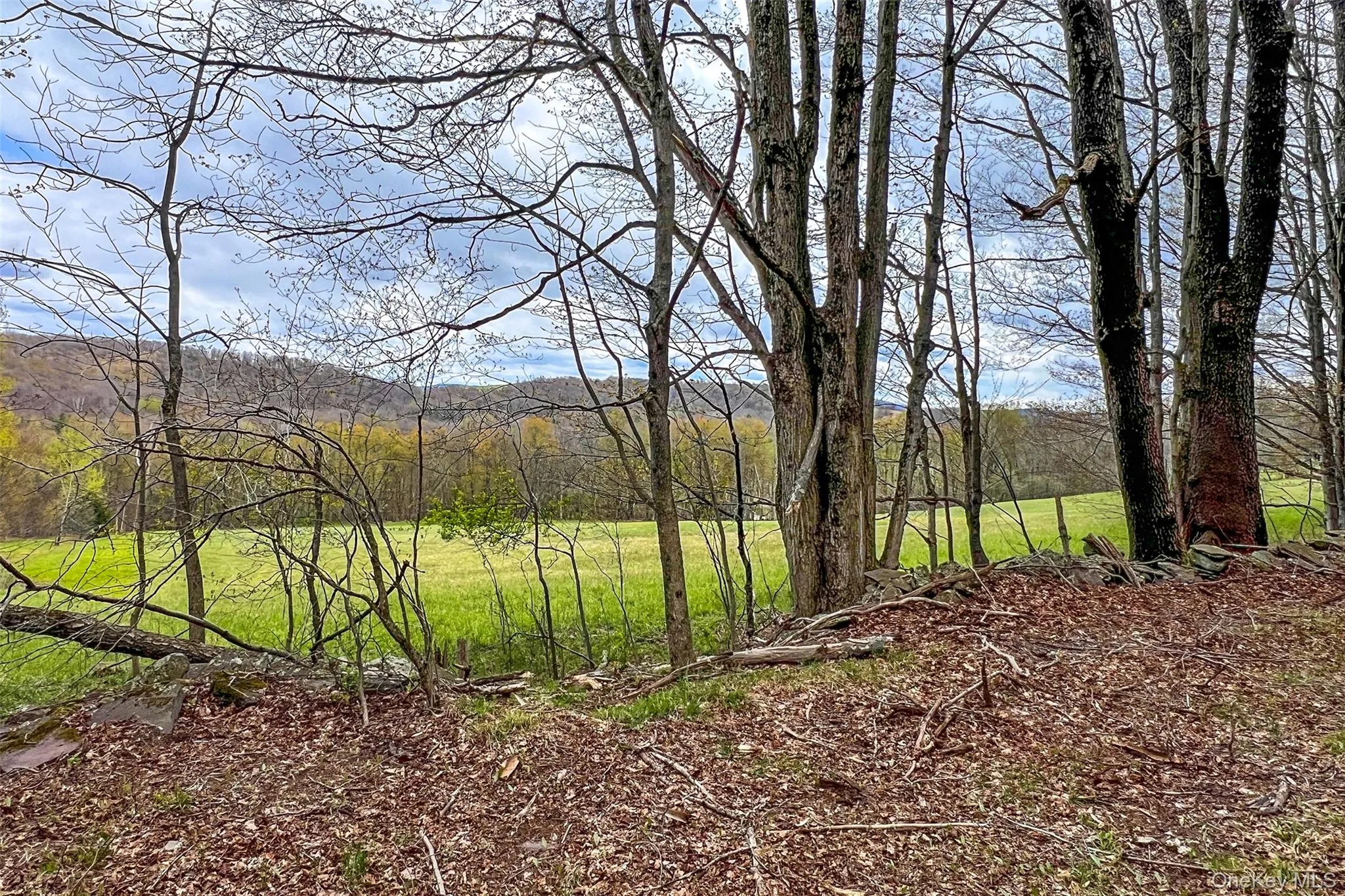 0 Brownell Road, Kortright, NY, ,Land,For Rent,Brownell,0,1003122 0 Brownell Road, Kortright, NY, ,Land,For Rent,Brownell,0,1003122