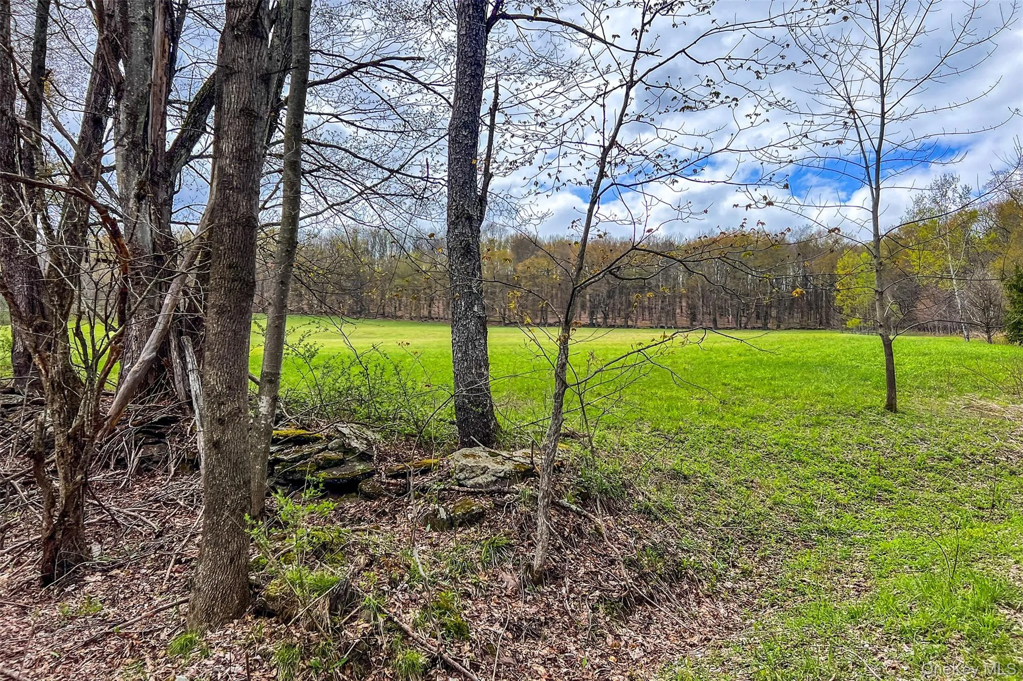0 Brownell Road, Kortright, NY, ,Land,For Rent,Brownell,0,1003122 0 Brownell Road, Kortright, NY, ,Land,For Rent,Brownell,0,1003122