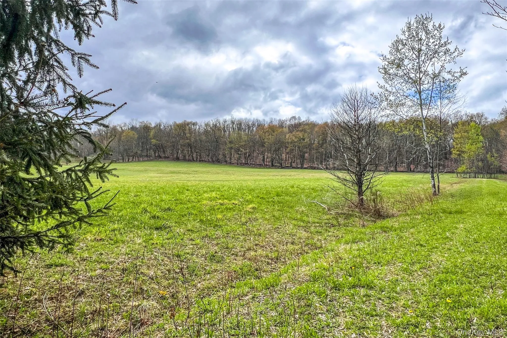 0 Brownell Road, Kortright, NY, ,Land,For Rent,Brownell,0,1003122 0 Brownell Road, Kortright, NY, ,Land,For Rent,Brownell,0,1003122