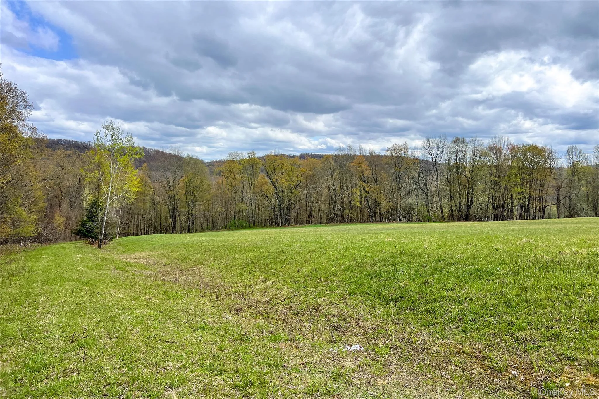 0 Brownell Road, Kortright, NY, ,Land,For Rent,Brownell,0,1003122 0 Brownell Road, Kortright, NY, ,Land,For Rent,Brownell,0,1003122