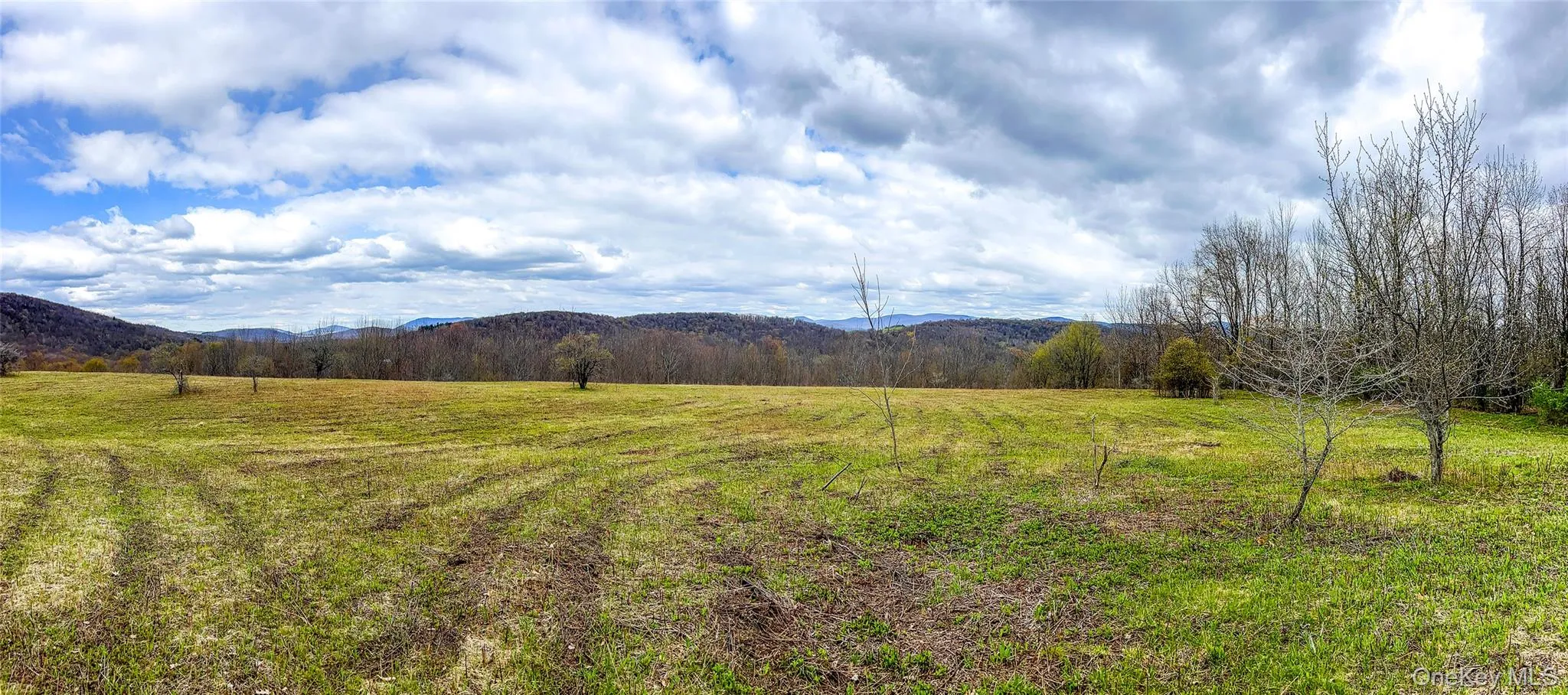 0 Brownell Road, Kortright, NY, ,Land,For Rent,Brownell,0,1003122 0 Brownell Road, Kortright, NY, ,Land,For Rent,Brownell,0,1003122