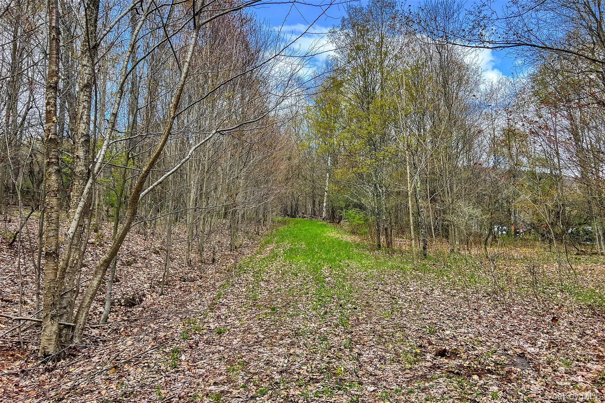 0 Brownell Road, Kortright, NY, ,Land,For Rent,Brownell,0,1003122 0 Brownell Road, Kortright, NY, ,Land,For Rent,Brownell,0,1003122