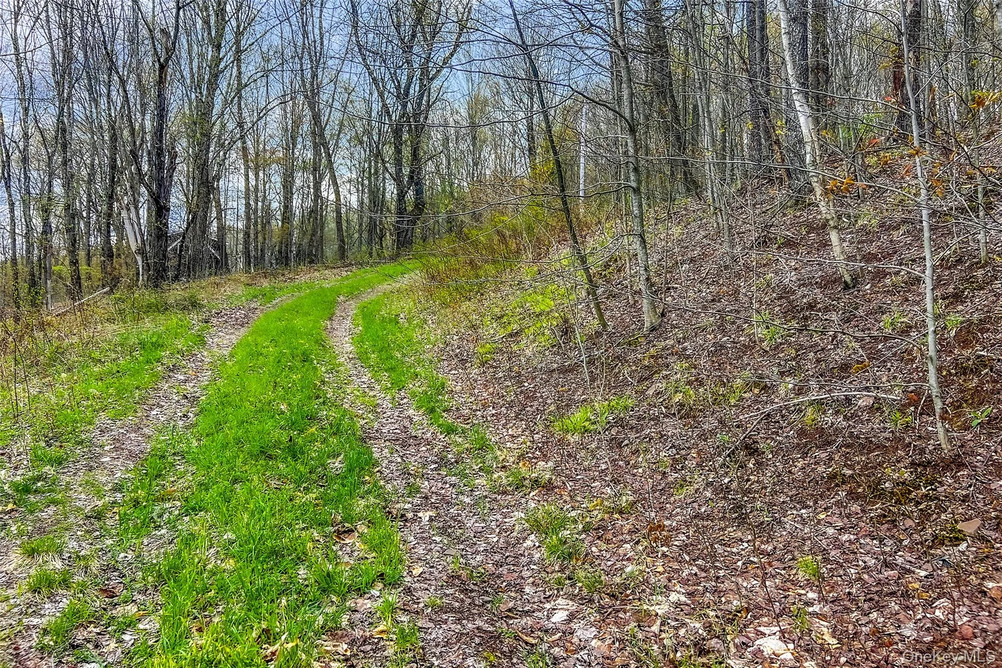 0 Brownell Road, Kortright, NY, ,Land,For Rent,Brownell,0,1003122 0 Brownell Road, Kortright, NY, ,Land,For Rent,Brownell,0,1003122