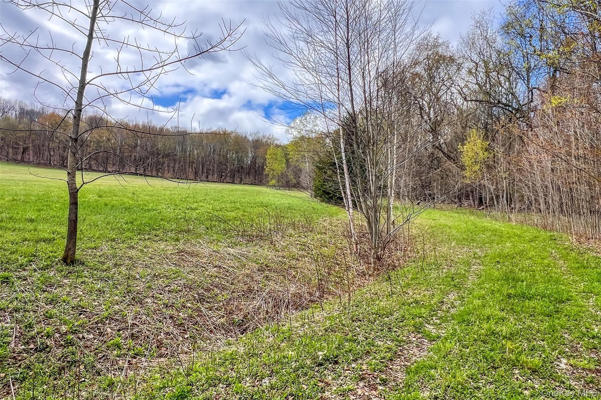 0 Brownell Road, Kortright, NY, ,Land,For Rent,Brownell,0,1003122 0 Brownell Road, Kortright, NY, ,Land,For Rent,Brownell,0,1003122