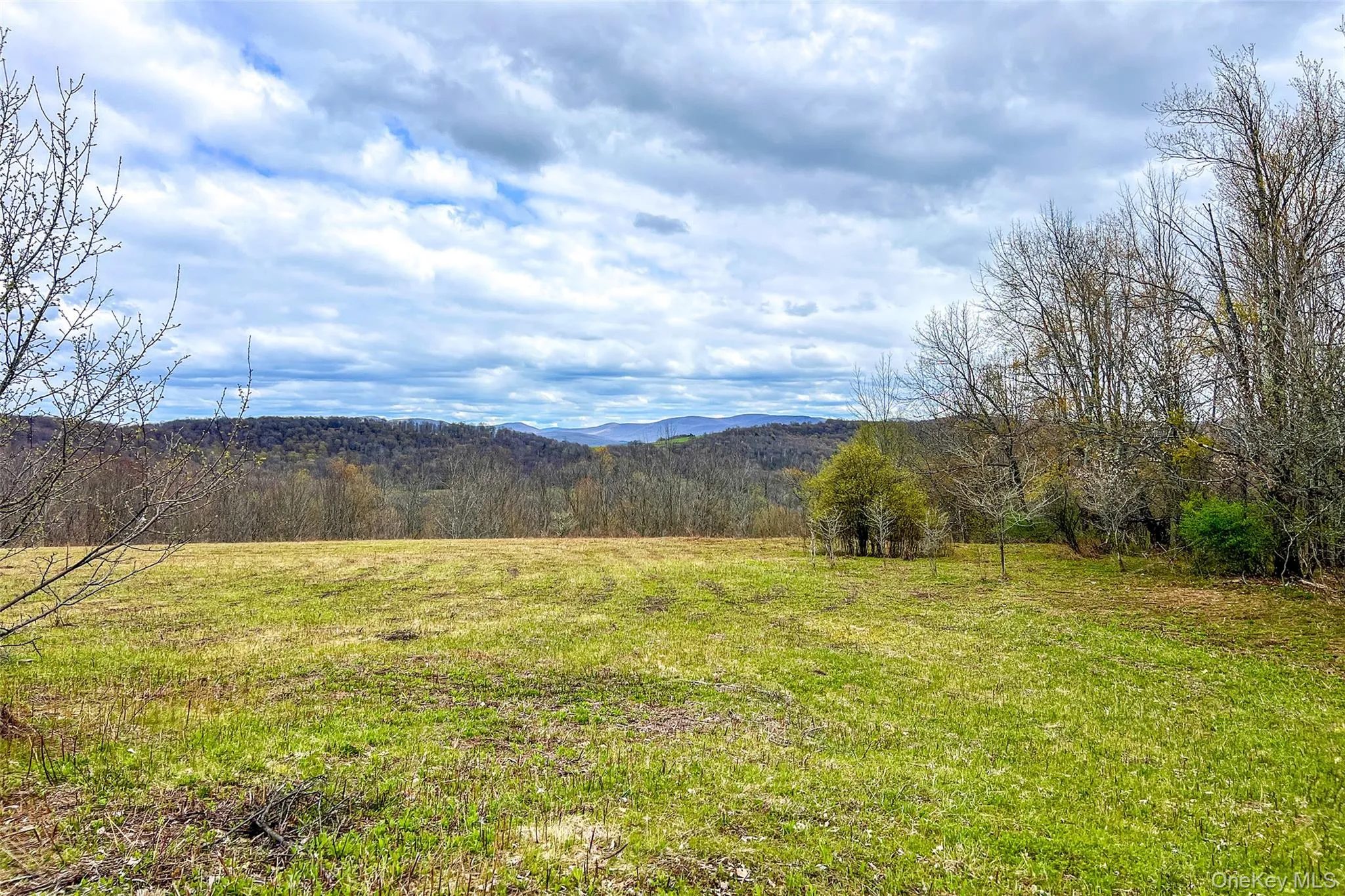 0 Brownell Road, Kortright, NY, ,Land,For Rent,Brownell,0,1003122 0 Brownell Road, Kortright, NY, ,Land,For Rent,Brownell,0,1003122
